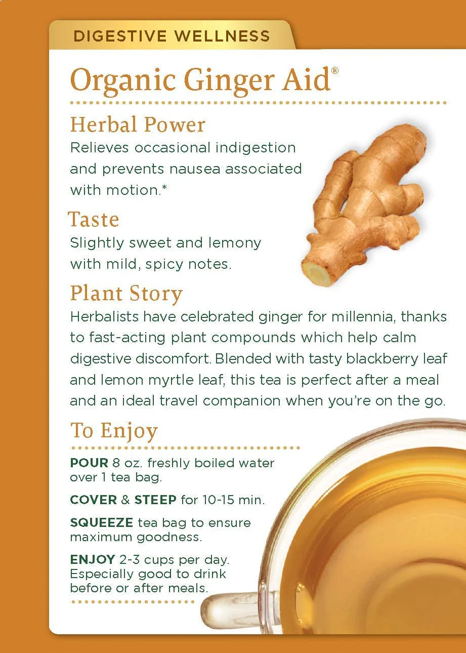 Organic Ginger Aid Tea - Image 2