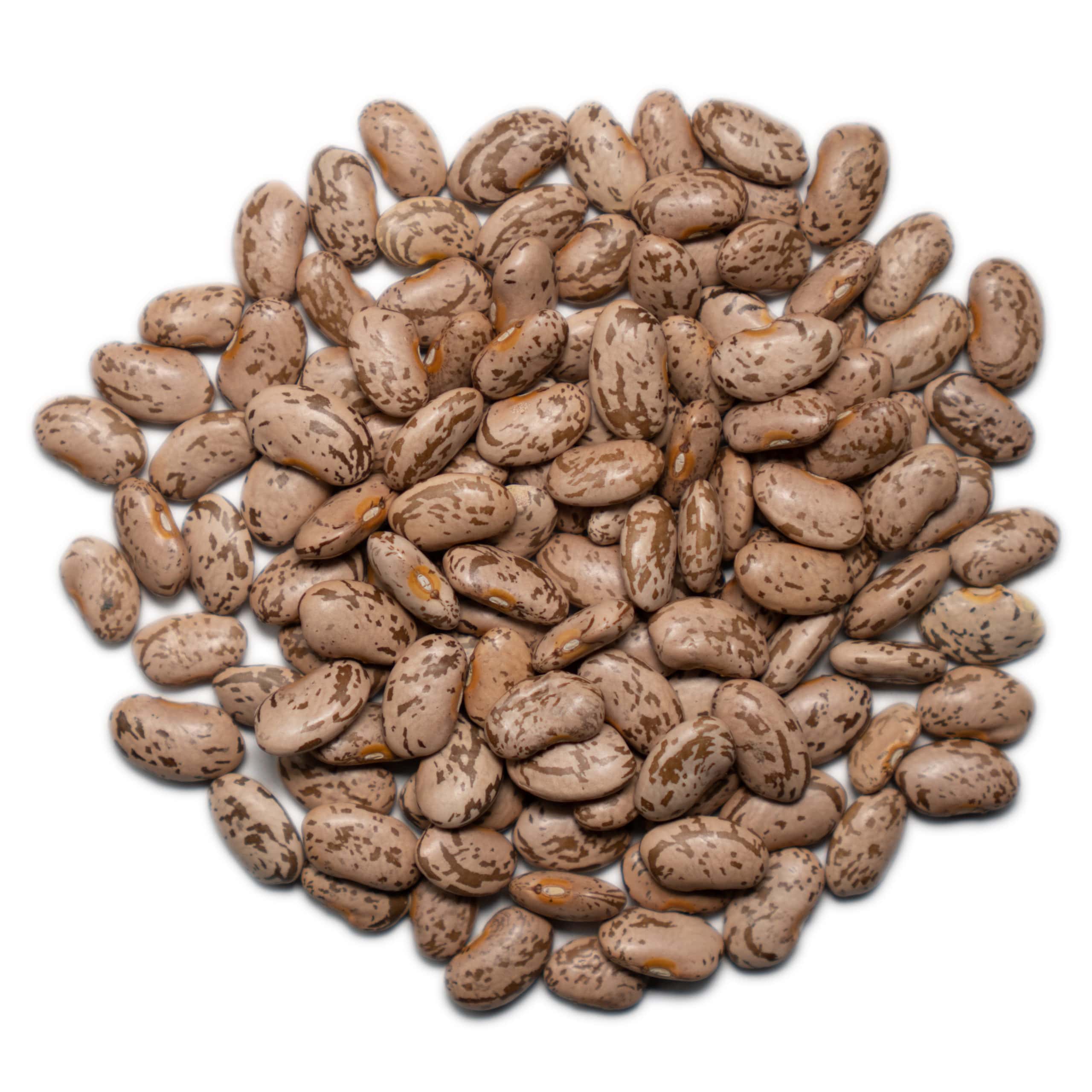 Pinto Beans - Image 2