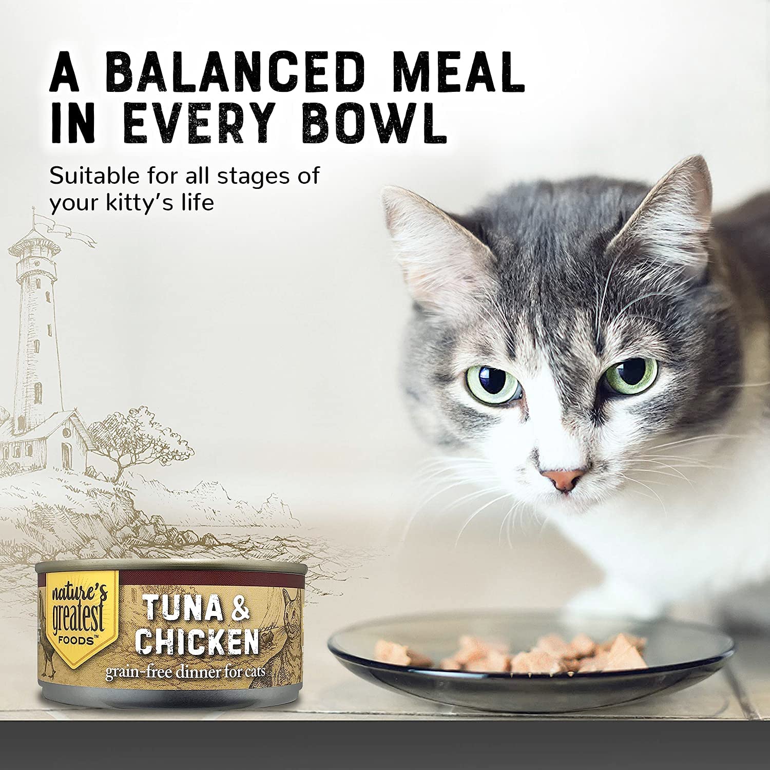Grain-Free Cat Food Tuna & Topping Chicken - Image 2
