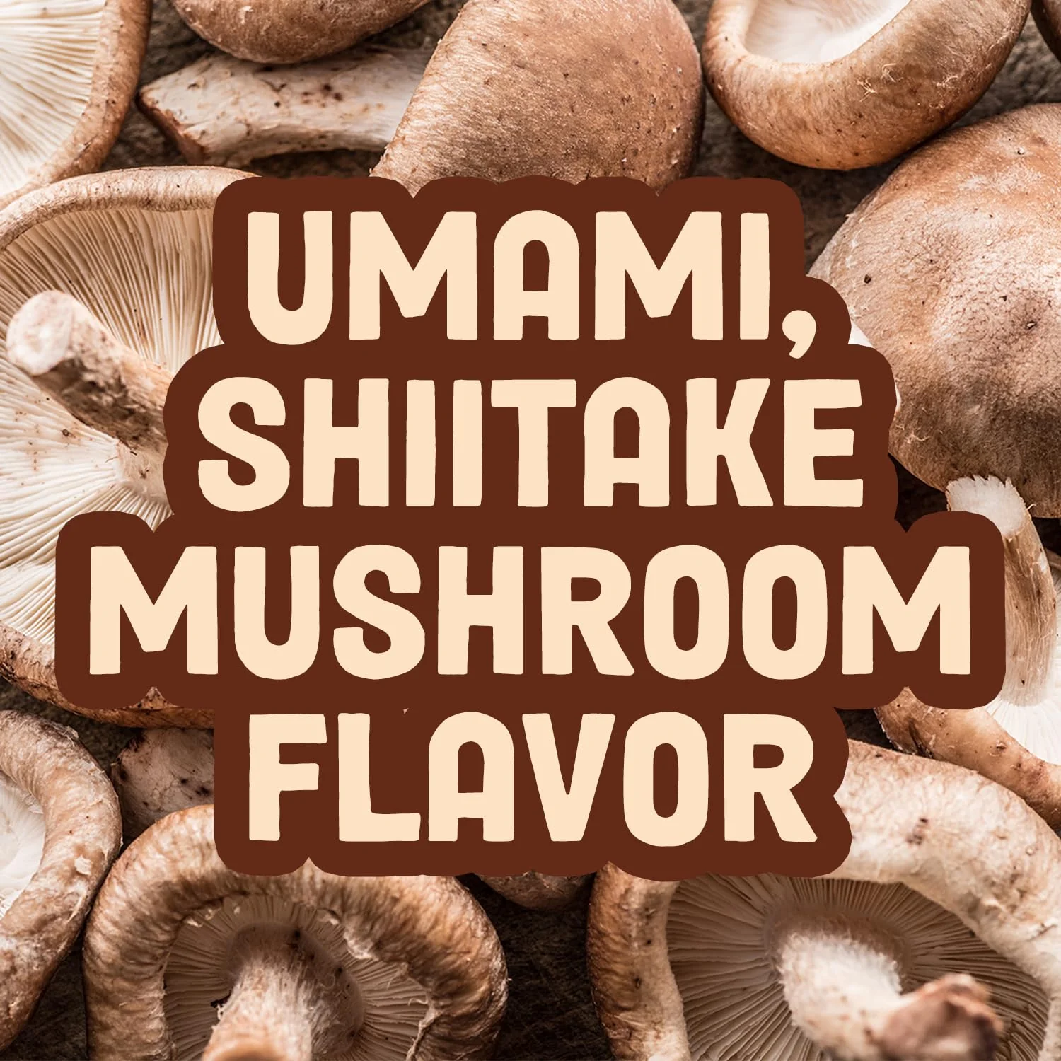 Applewood BBQ Mushroom Jerky - Image 2