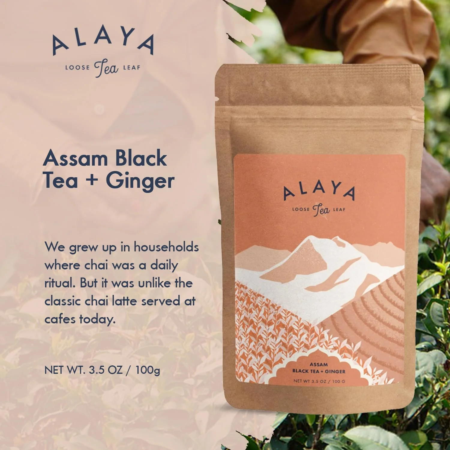 Assam Black Tea With Ginger - Image 4