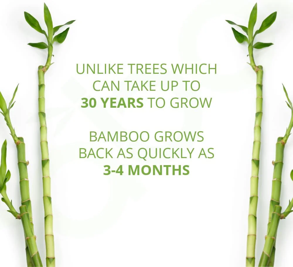 Bamboo Wet Wipes (6 Pack) - Image 3
