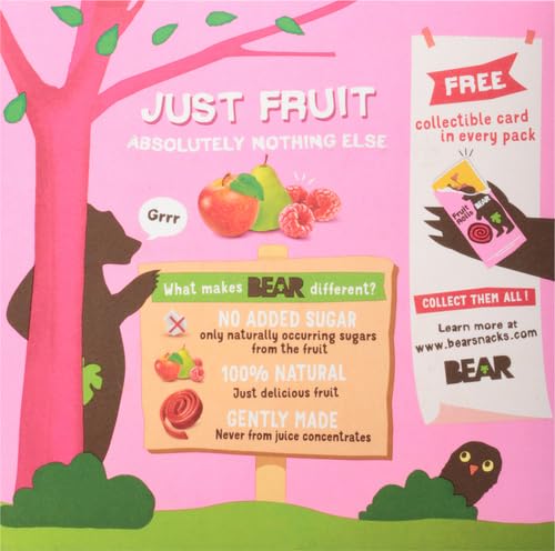 Apple Pear Raspberry Fruit Roll Multipack (5 CT) - Image 5