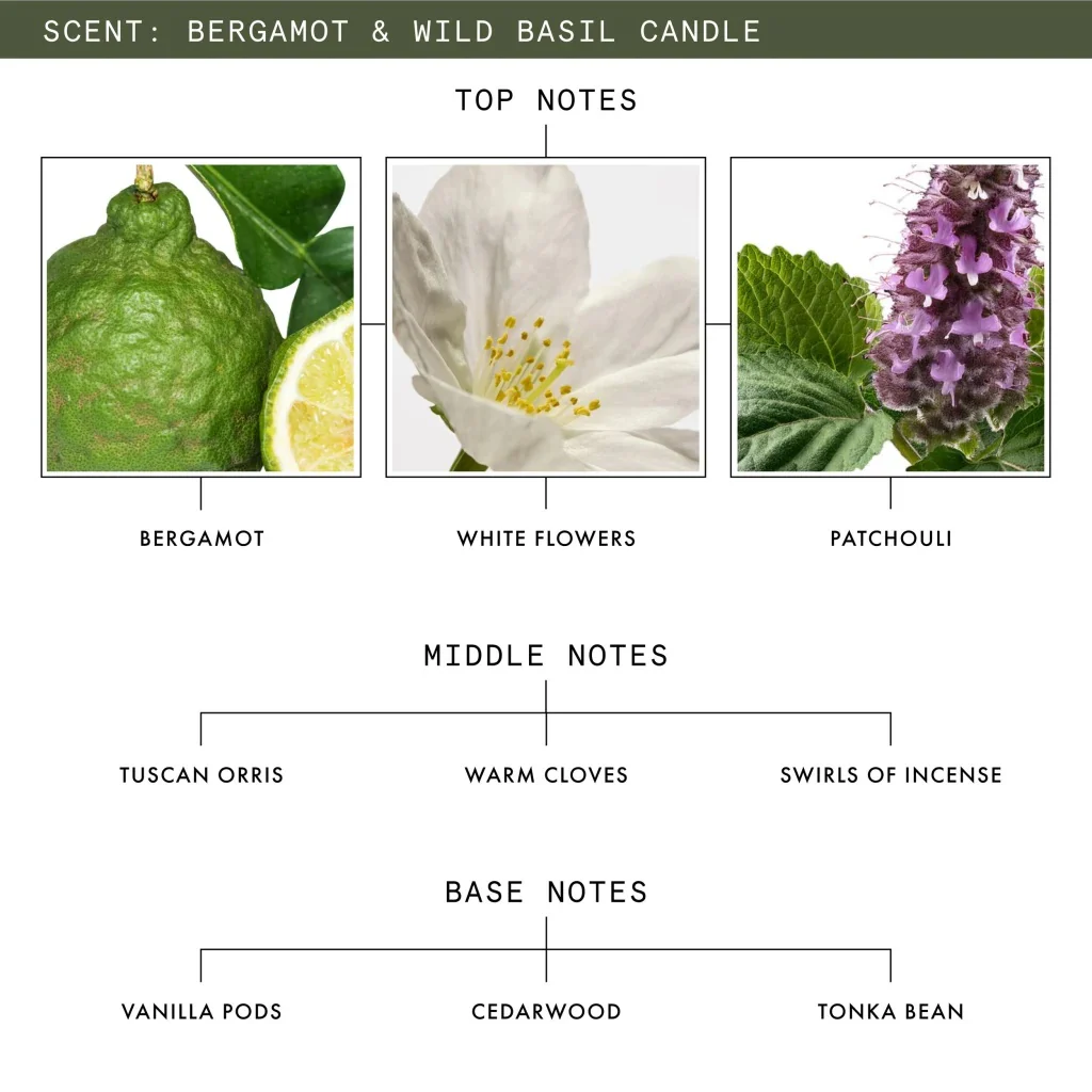 Bergamot & Wild Basil Luxury Scented Candle - Image 3