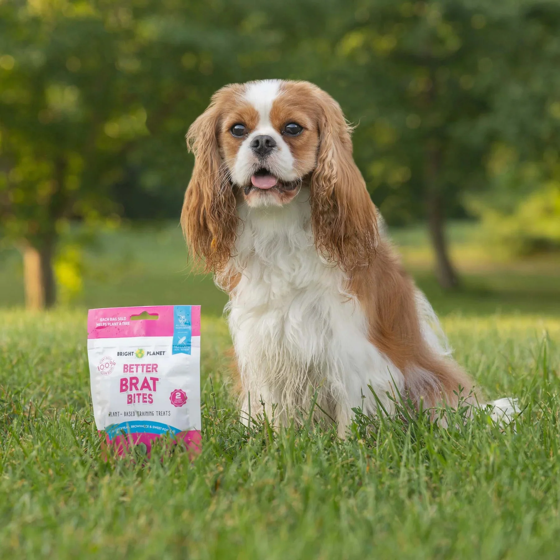 Better Brat Bites - Dog Training Treat - Image 2