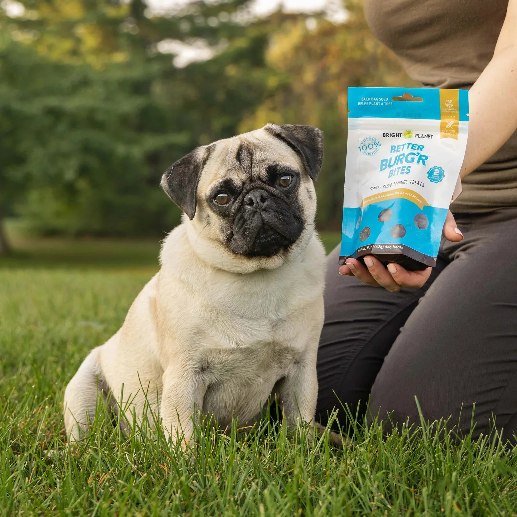 Better Burg'r Bites - Dog Training Treat - Image 2