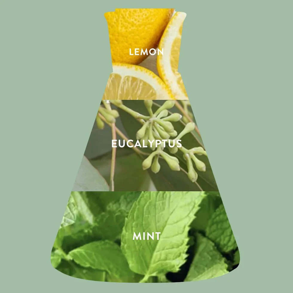 Bistro Glass Candle - Eucalyptus + Bliss - Image 3