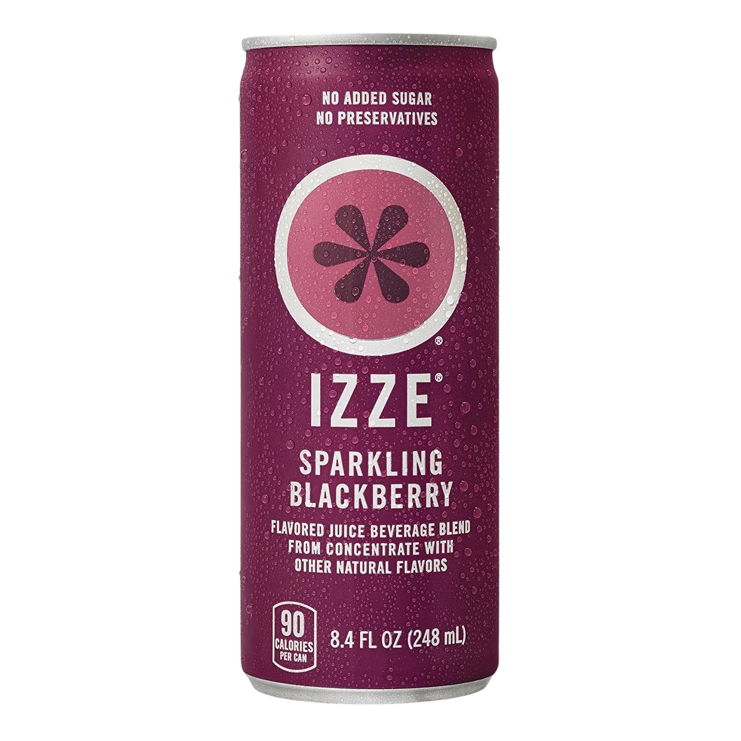 Blackberry Sparkling Juice (6 Pack) - Image 2