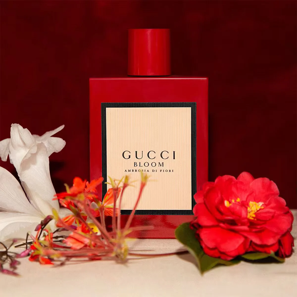 Bloom Ambrosia di Fiori Eau de Parfum Intense - Image 2