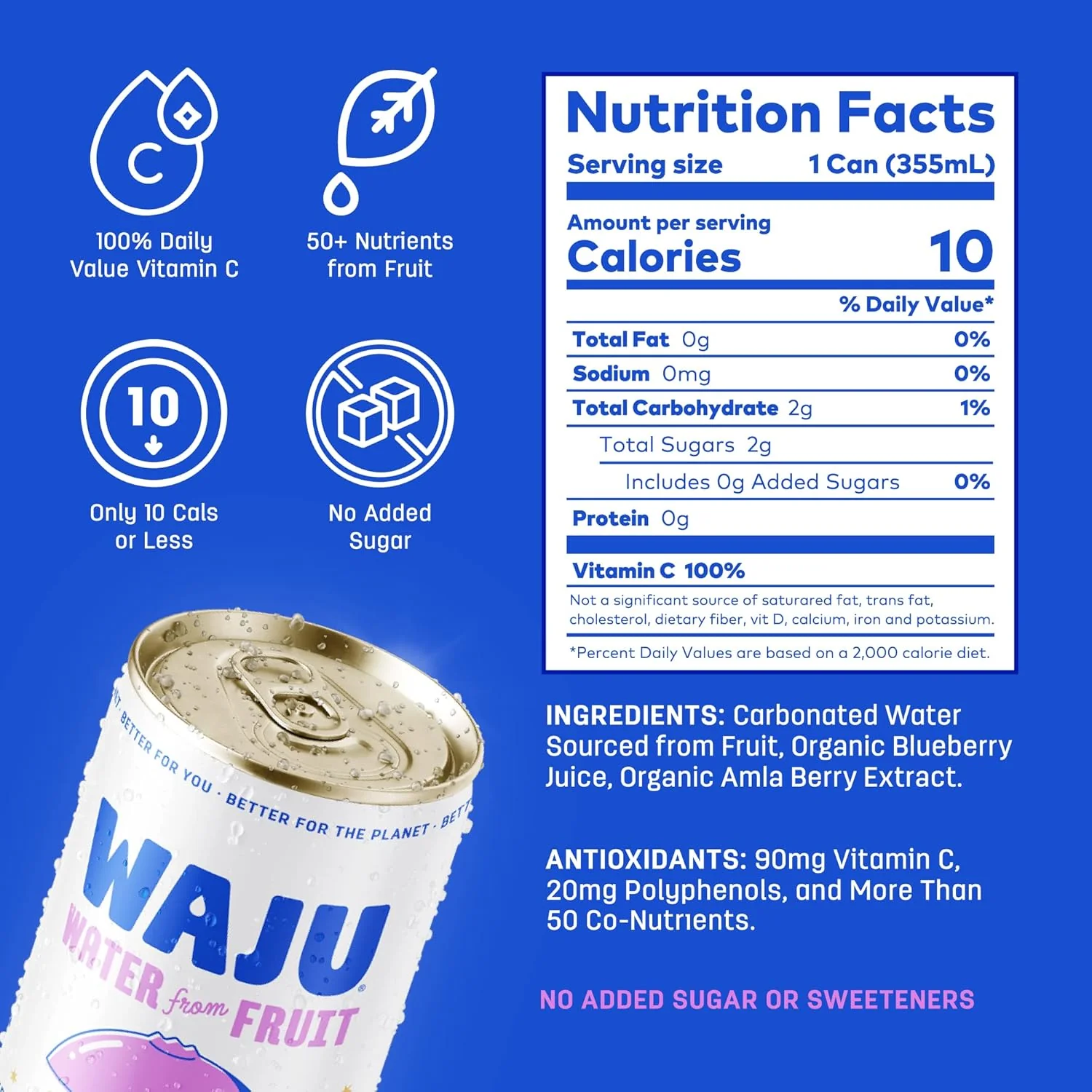 Blueberry Sparkling Fruit Water (12 Pack) - Image 2