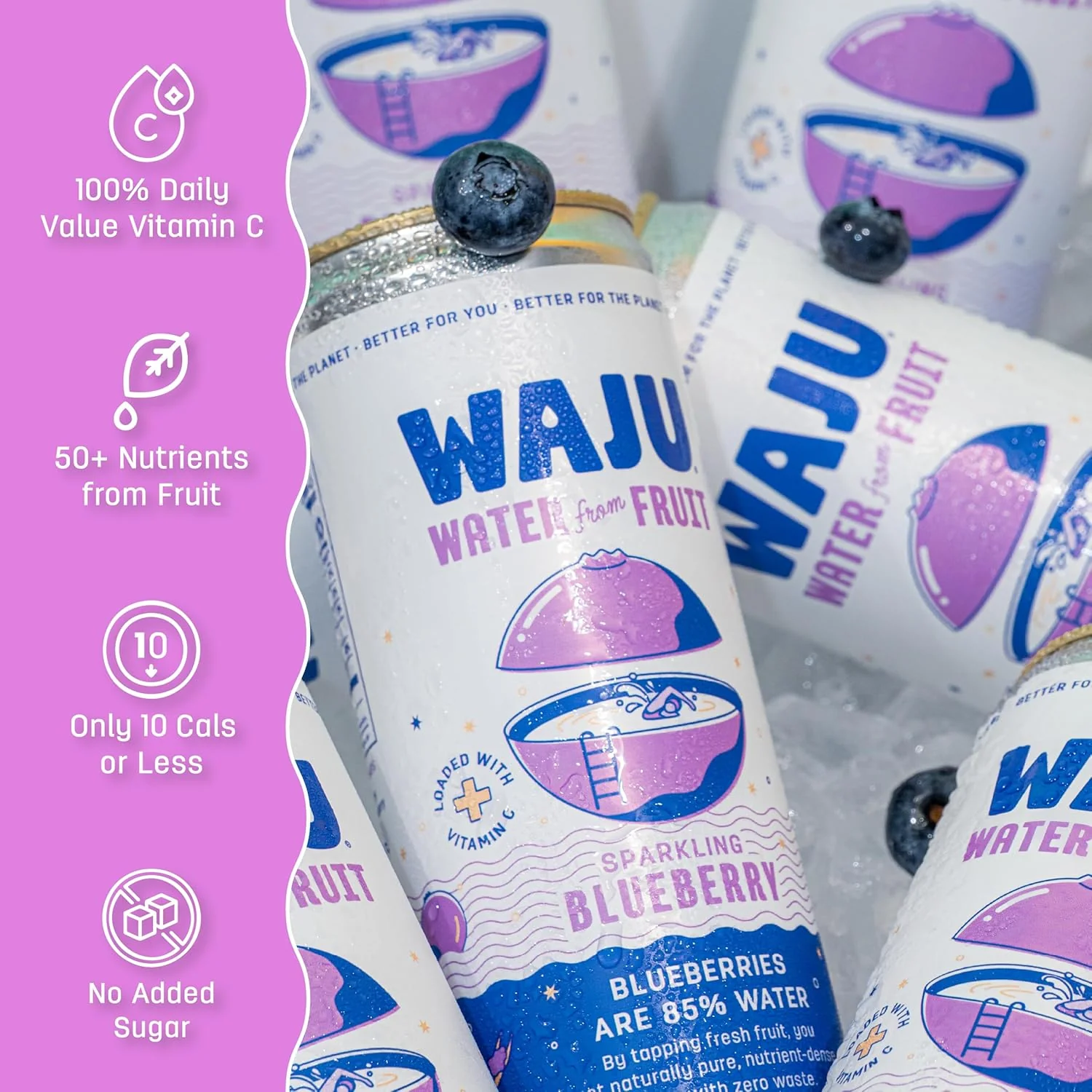 Blueberry Sparkling Fruit Water (12 Pack) - Image 4