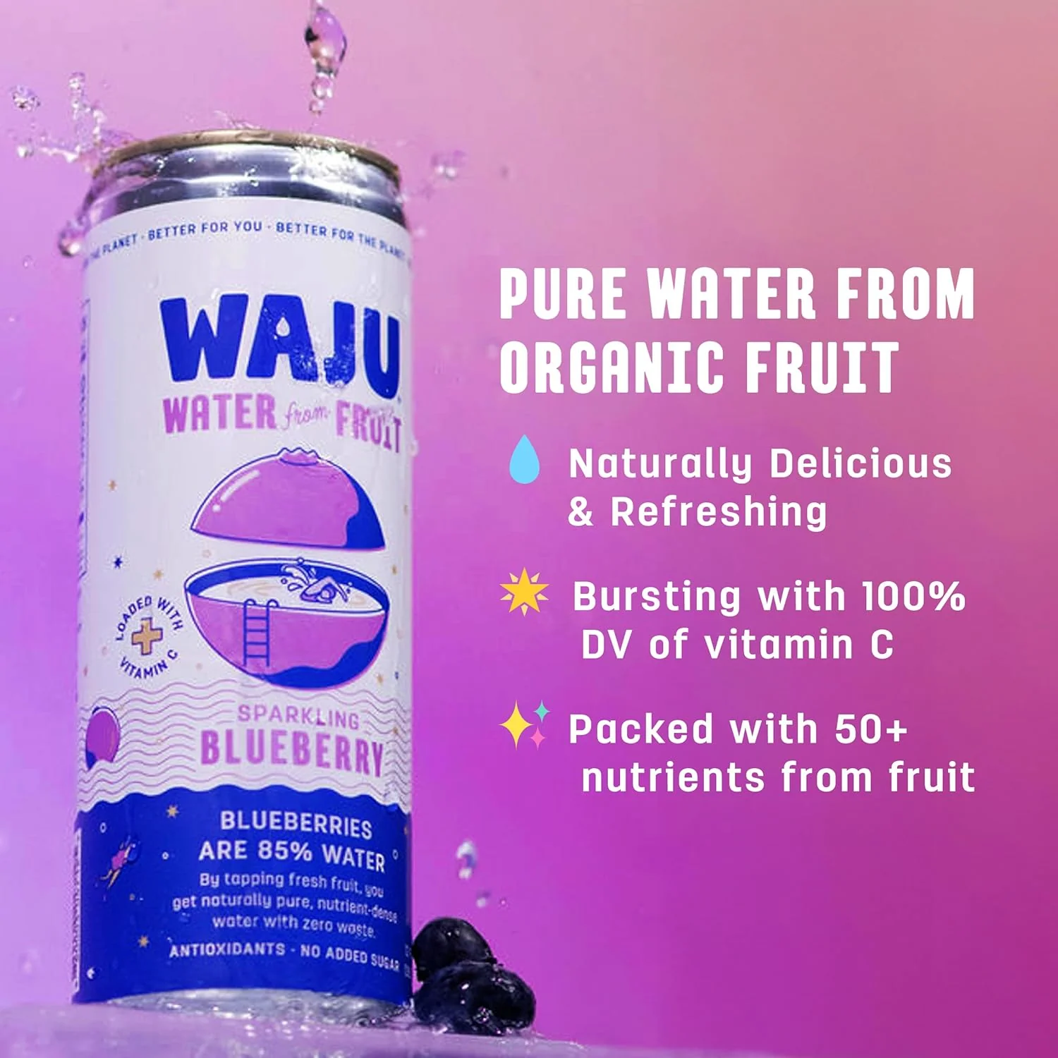 Blueberry Sparkling Fruit Water (12 Pack) - Image 5