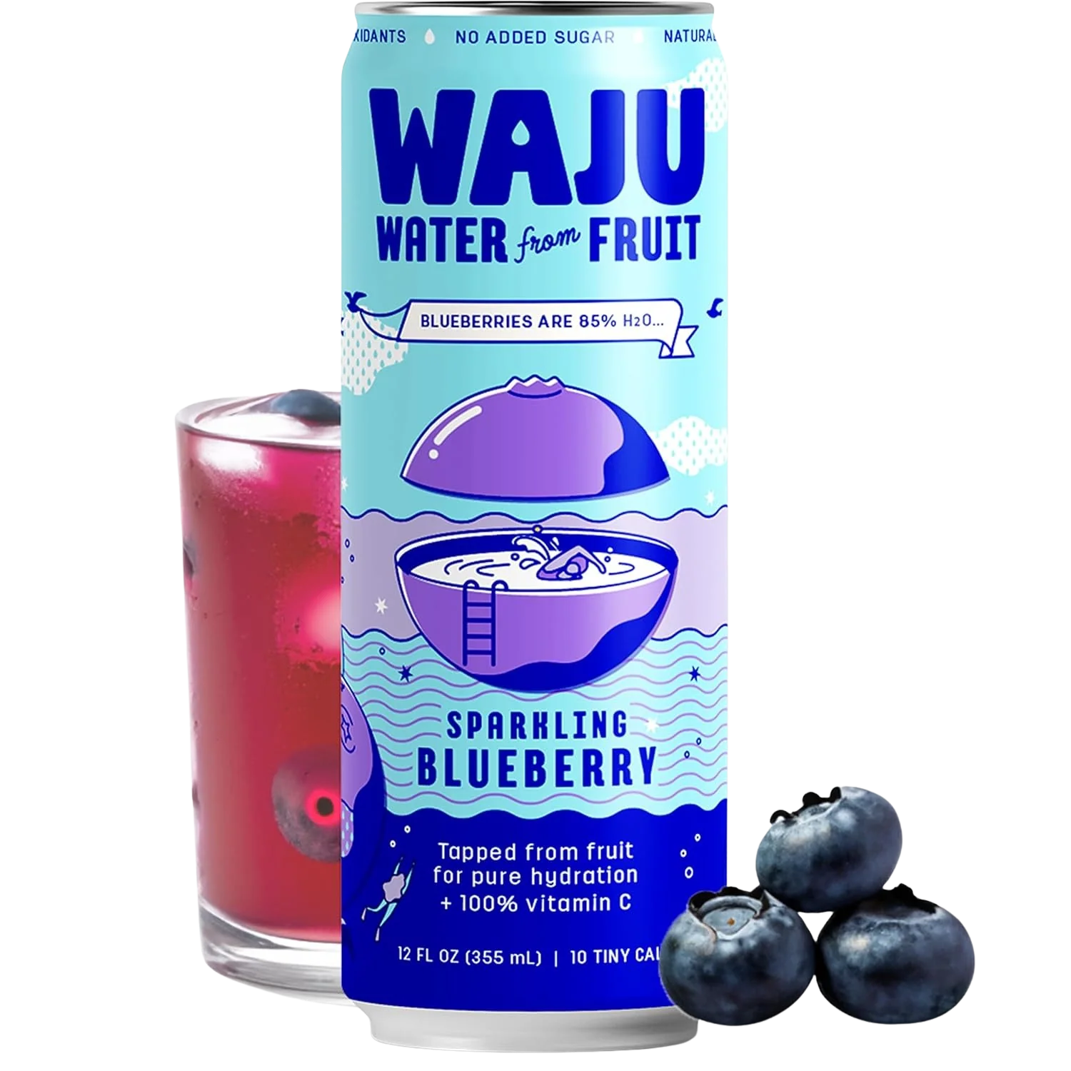 Blueberry Sparkling Fruit Water (12 Pack) - Image 6