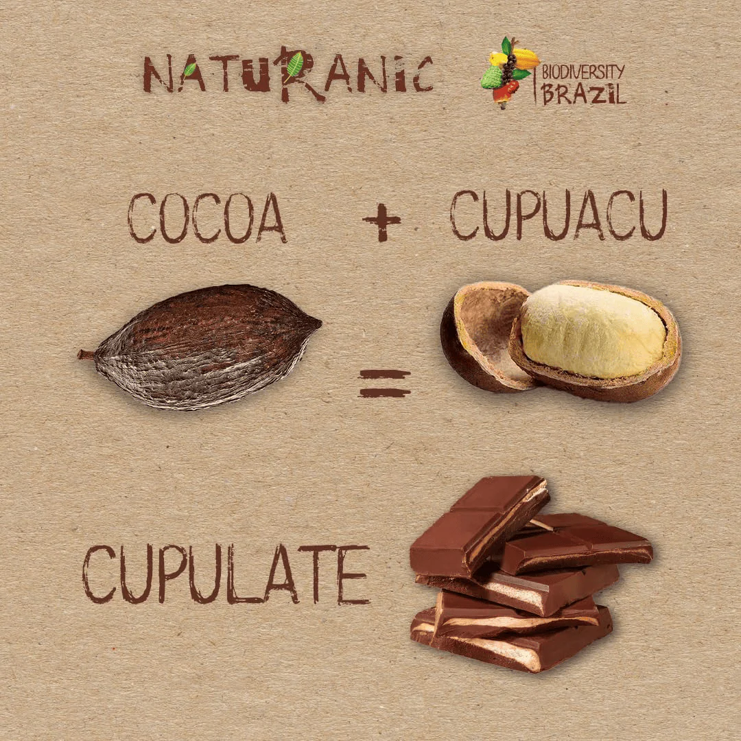 Brazilian Dark Chocolate with Nut and Cupuacu Filling - Image 6