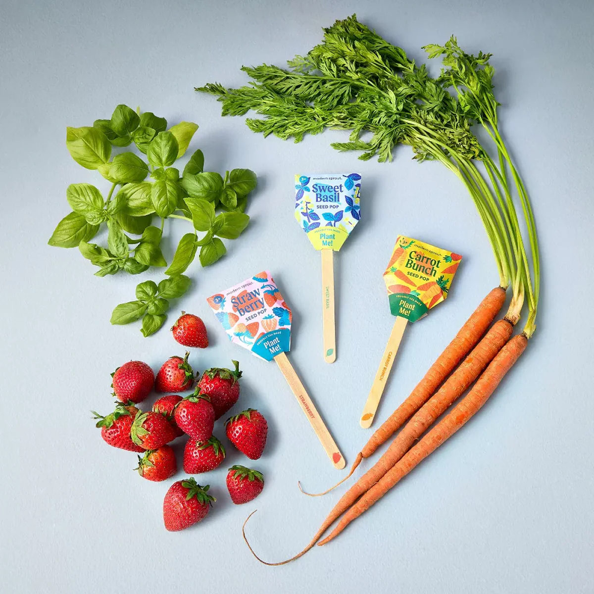 Carrot Seed Pop - Bullseye - Image 3