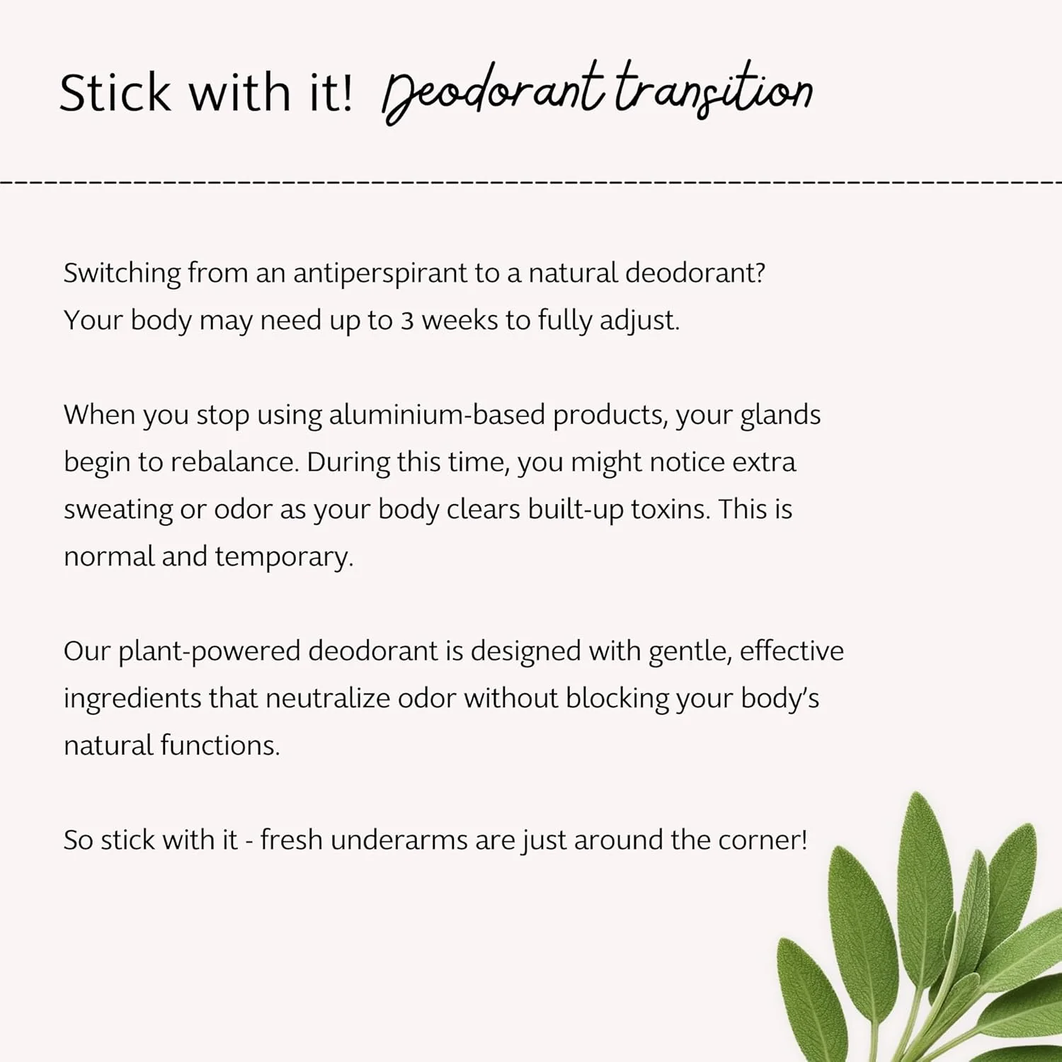 Slo Natural Beauty Deodorant Stick Cedar + Sage 55g - Image 3