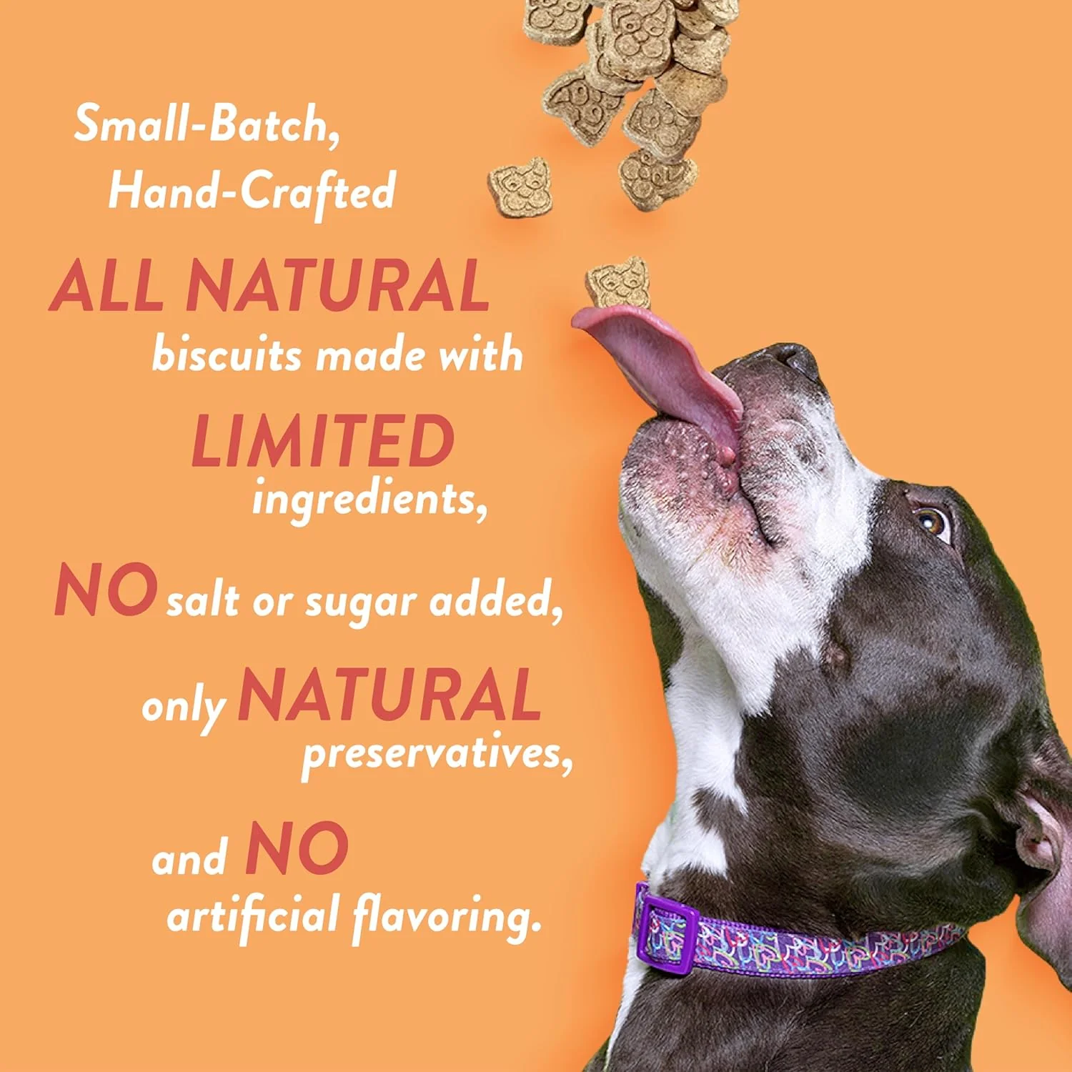 Cheddar Bites Dog Treats - Image 4