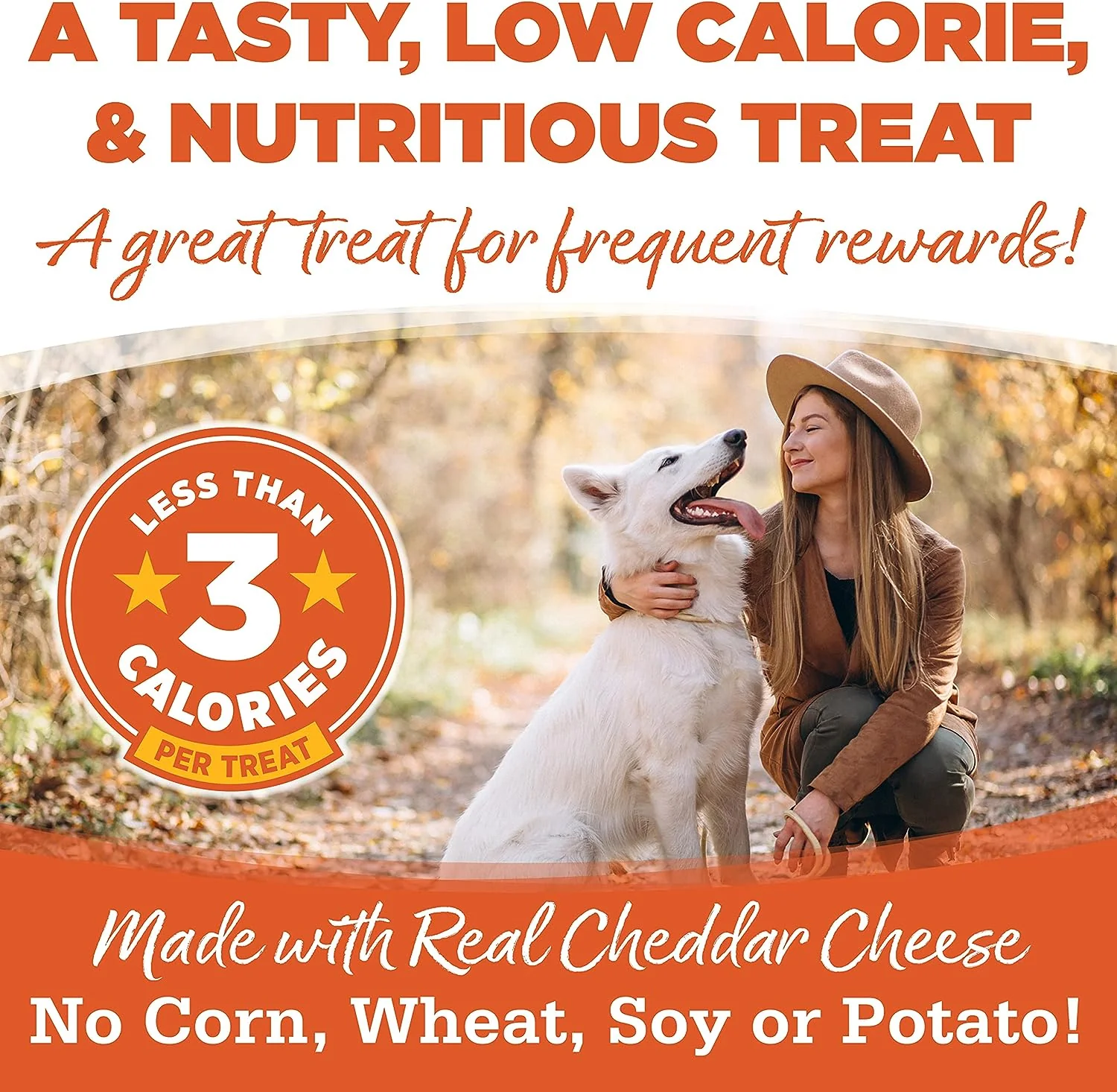 Cheddar Superstar Training Dog Treats - Image 2