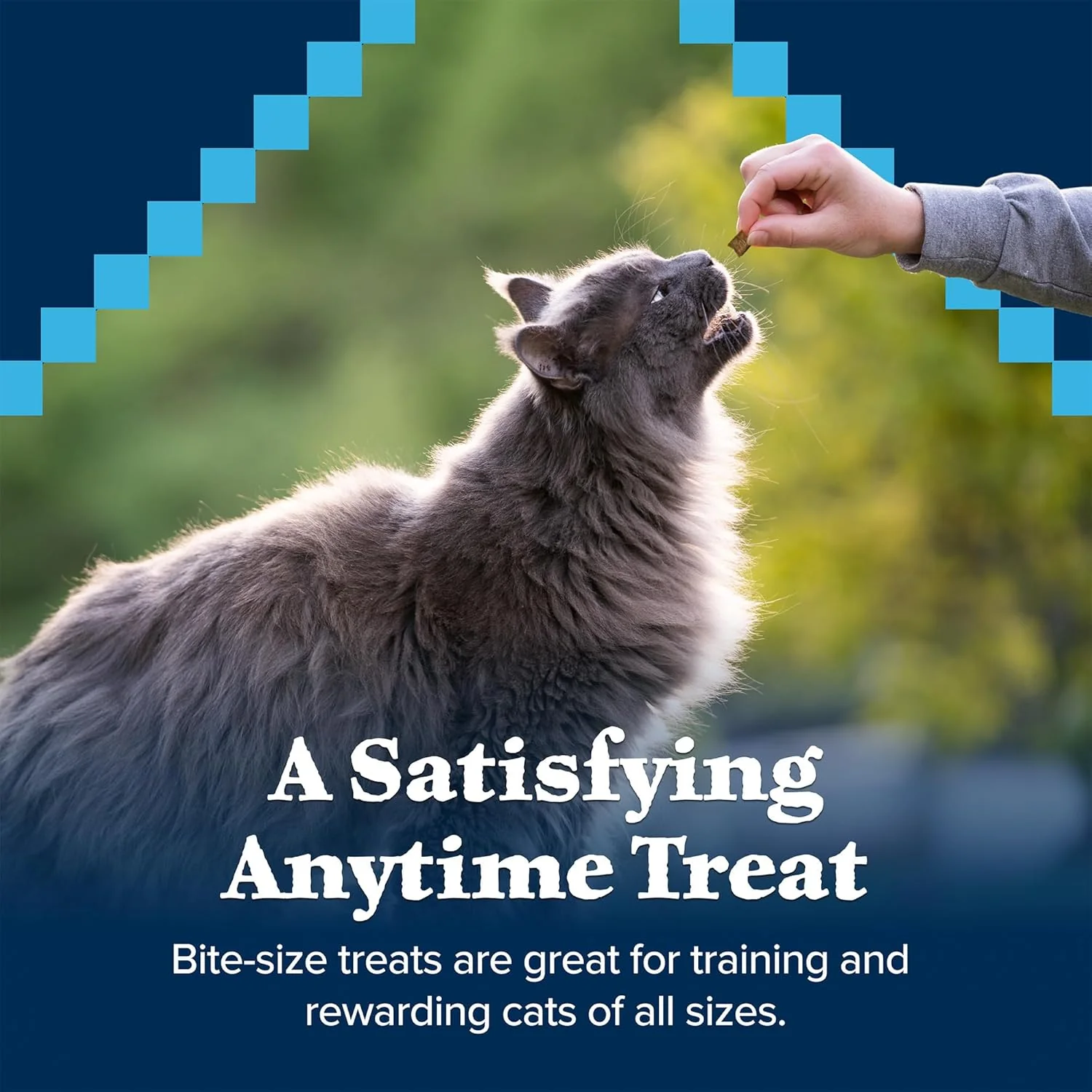 Chicken & Turkey Cat Treats - Image 2