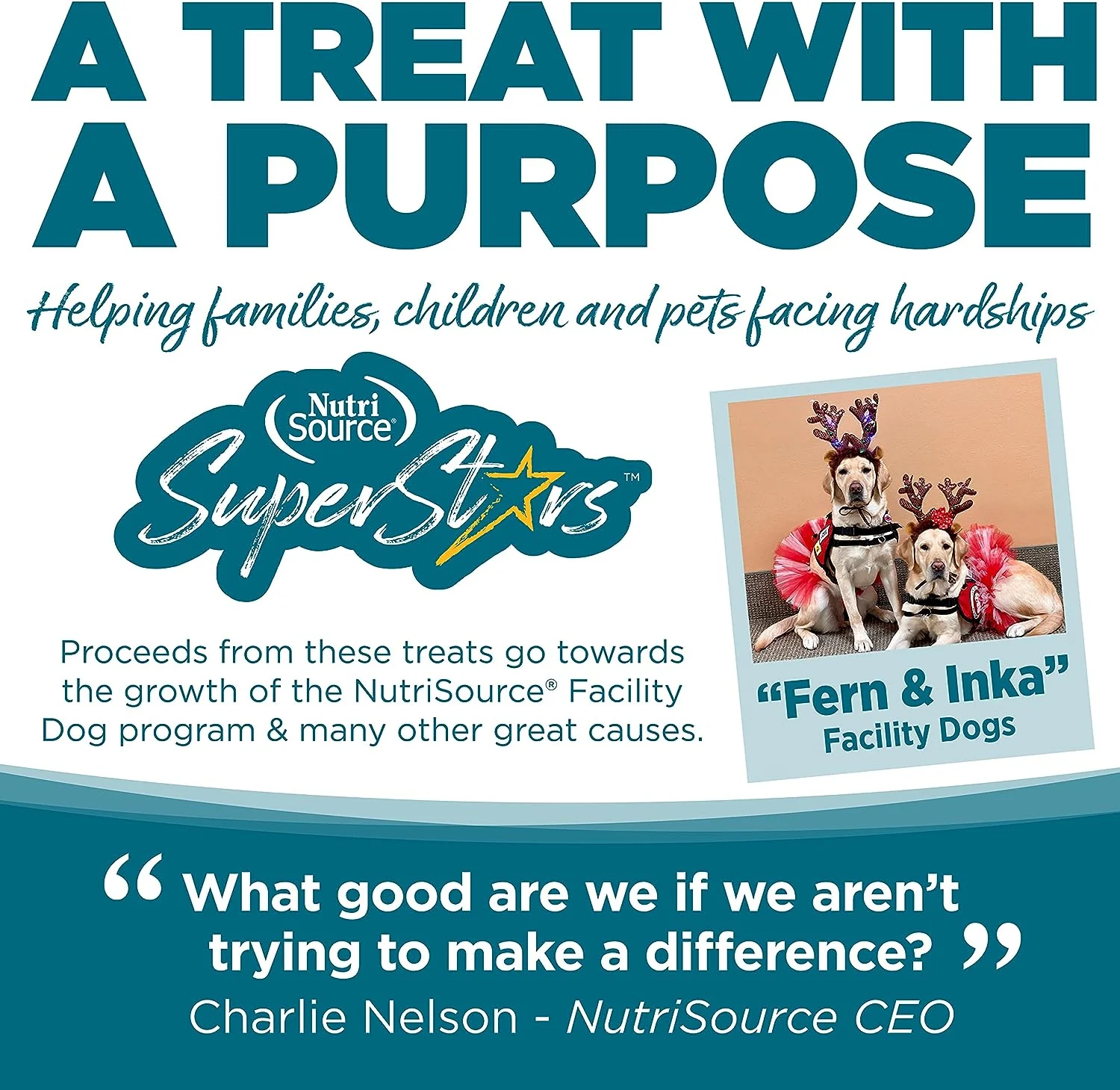 Chicken Superstar Training Dog Treat - Image 2