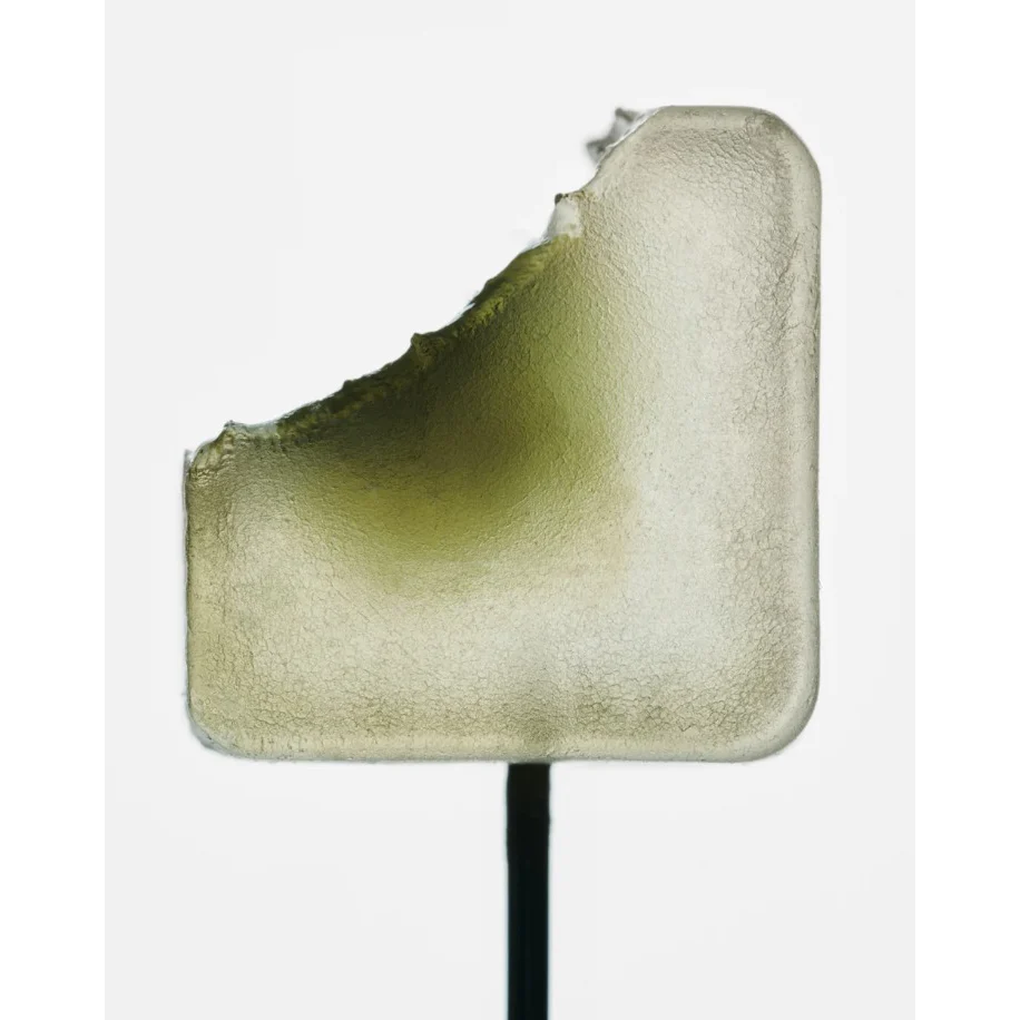 Chill Mushroom Gummy Delights - Apple - Image 2