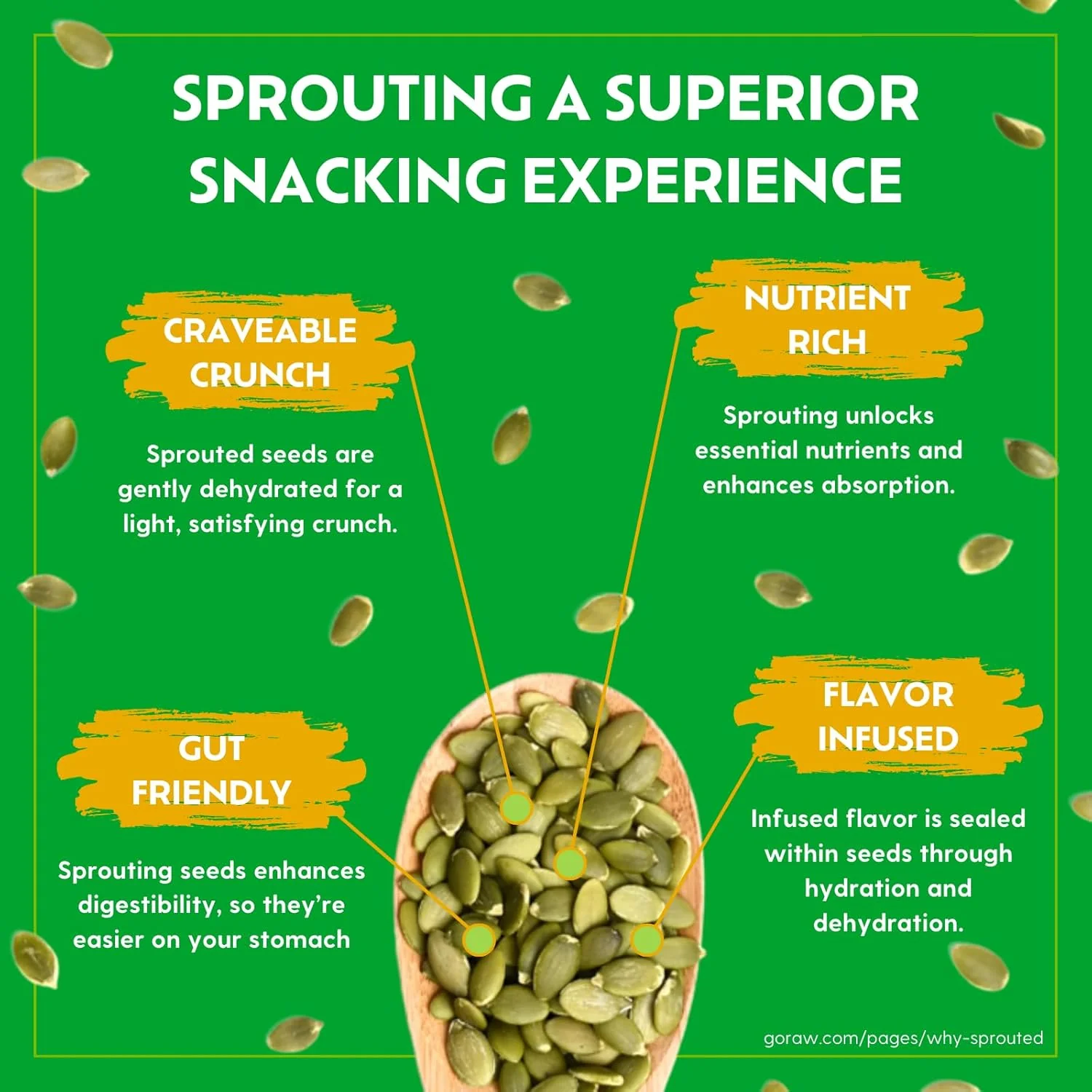 Chocolate Peanut Butter Snacking Granola - Image 3