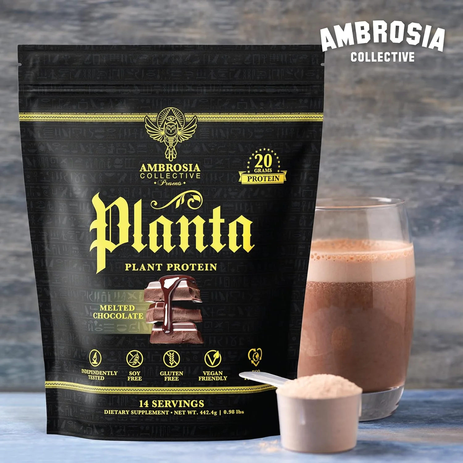 Chocolate Plant Protein - Image 3