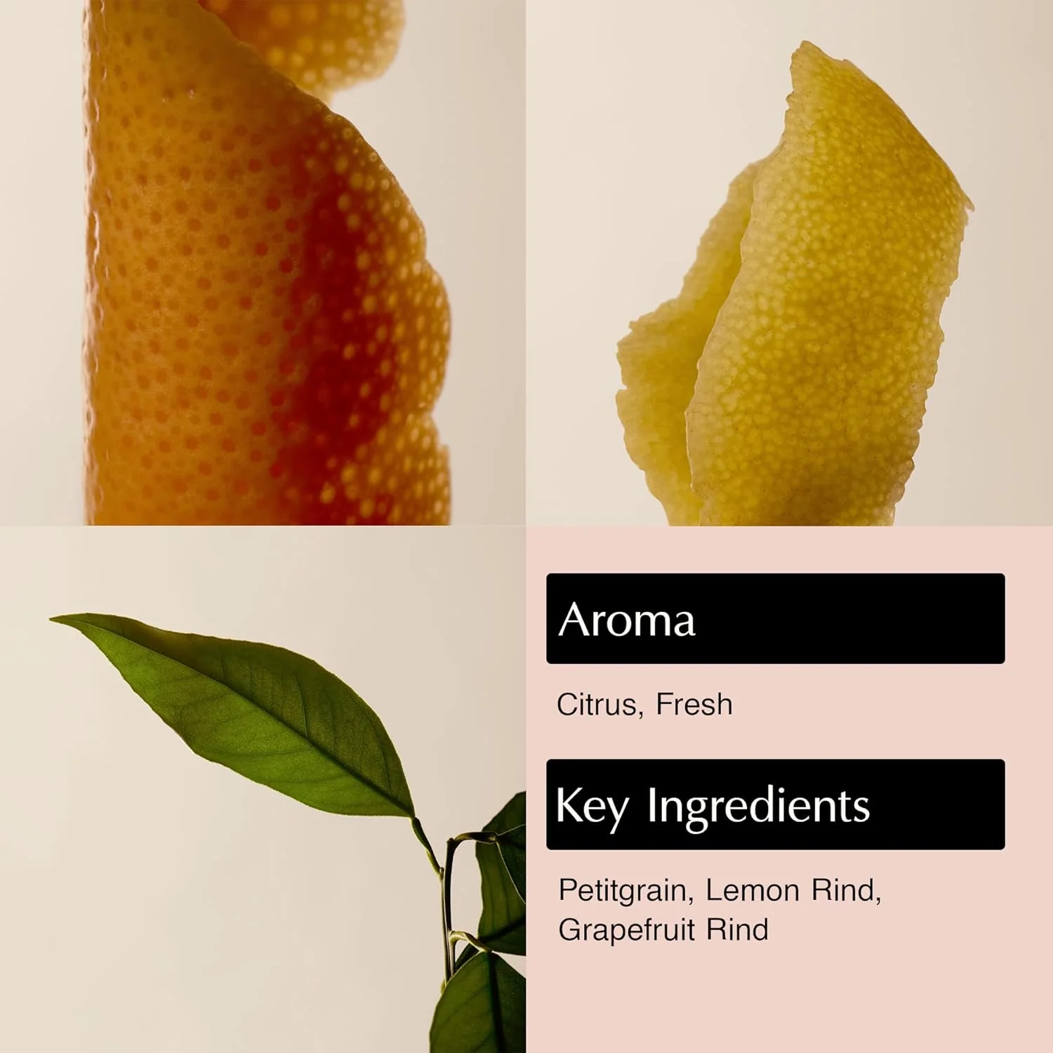 Citrus Melange Body Cleanser - Image 4