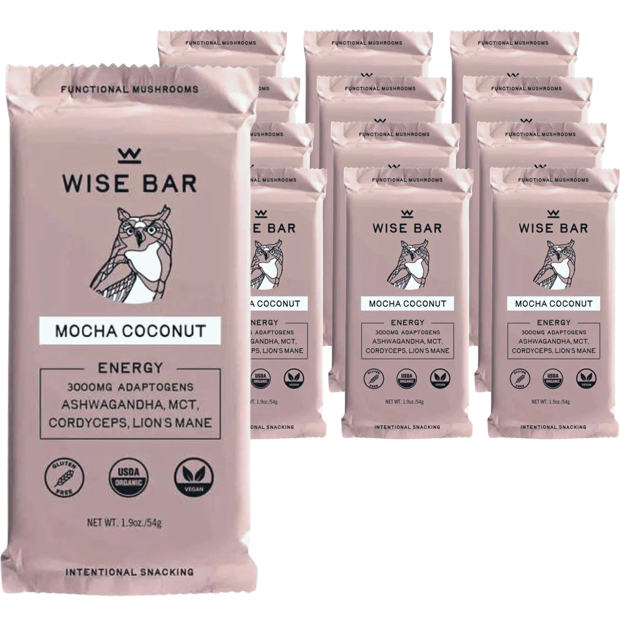 Coconut Mocha Bar (12 Pack)