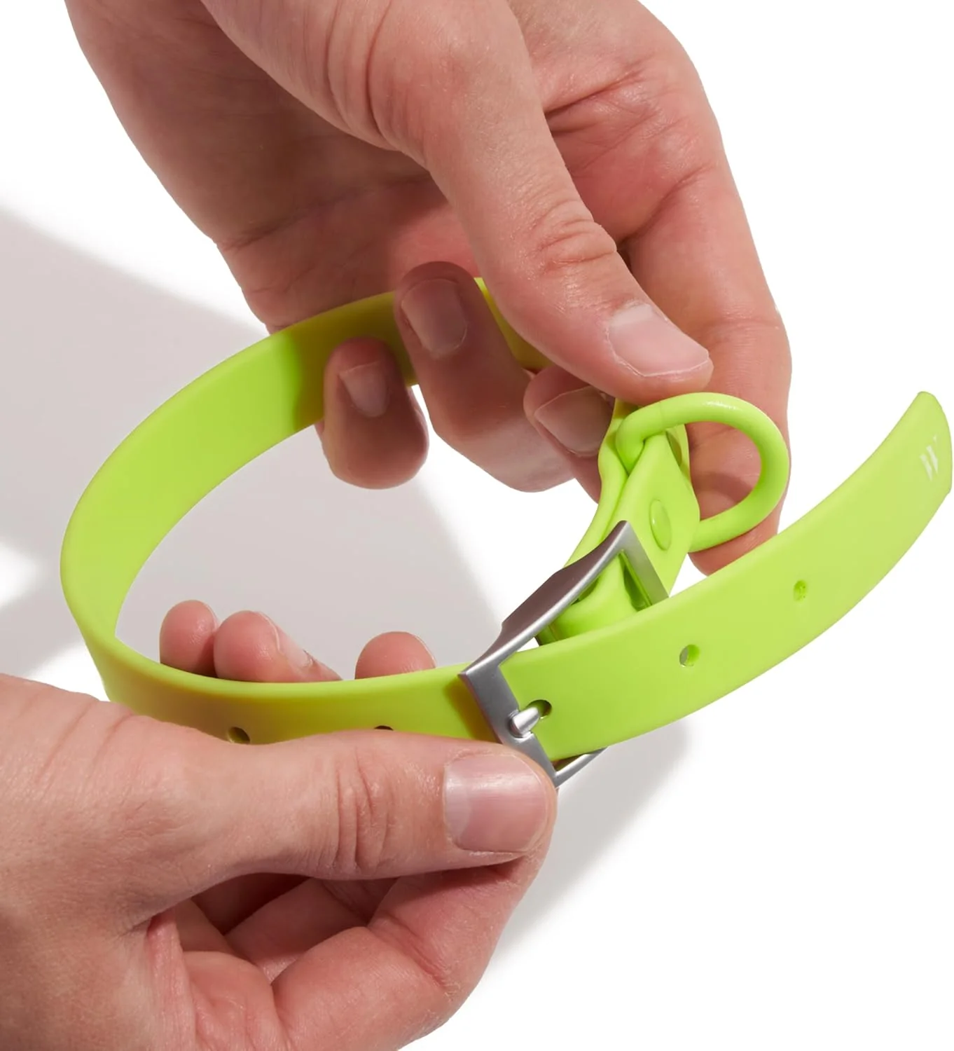 Collar X Large - Limeade - Image 3