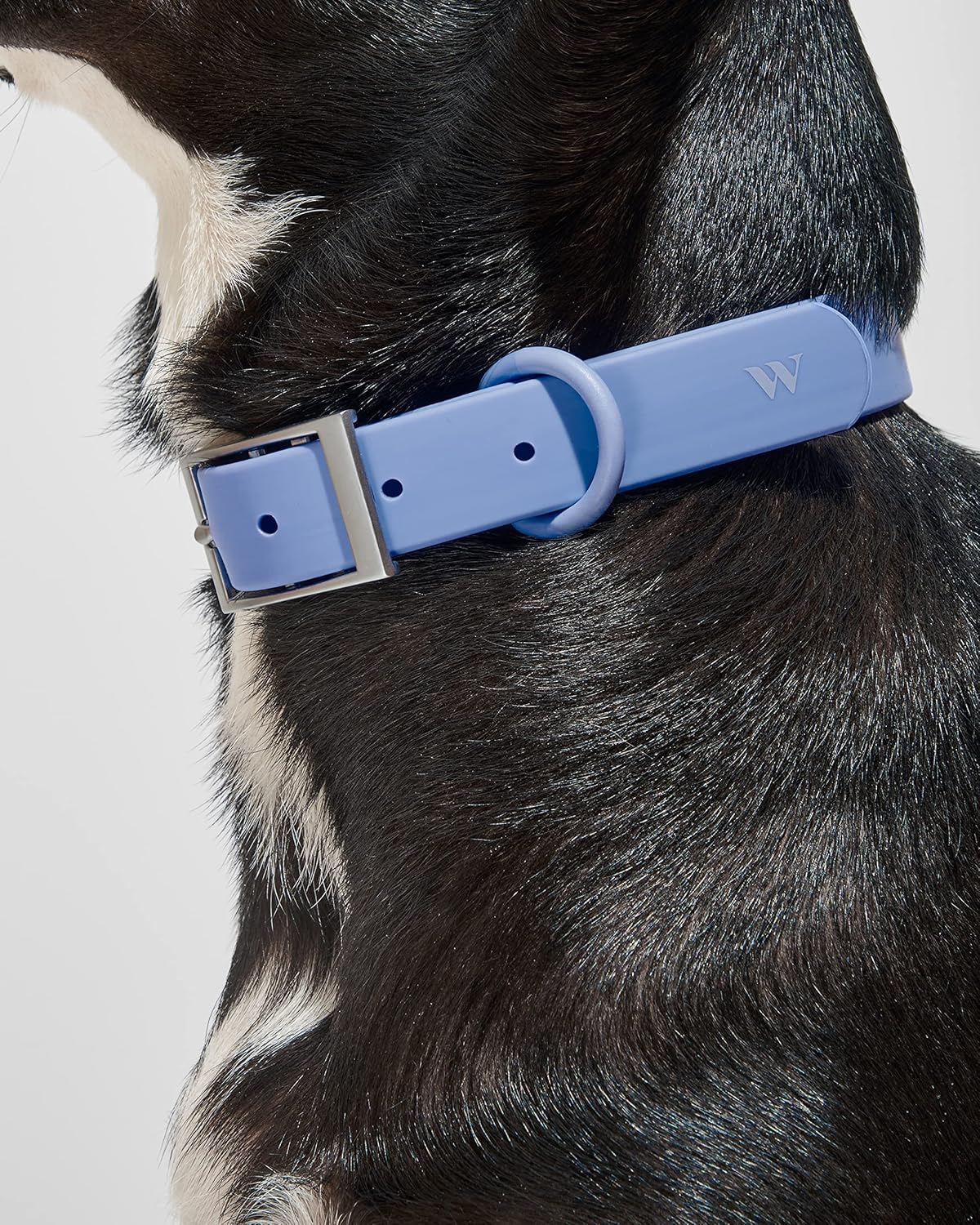 Collar - X Large - Moonstone - Image 2