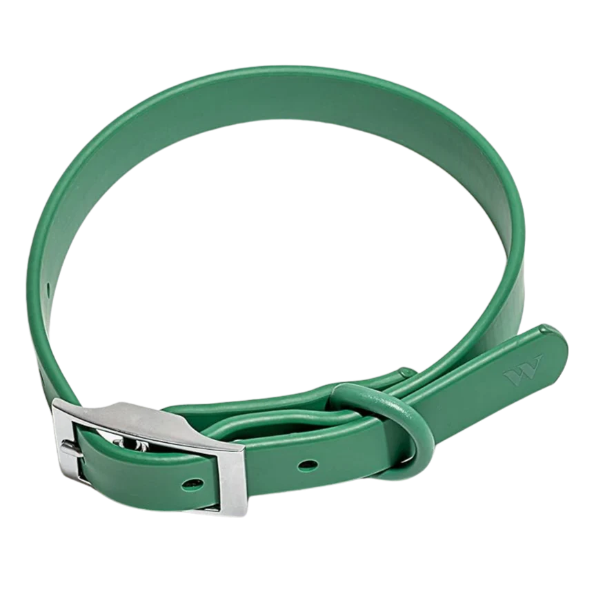 Collar Large - Spruce