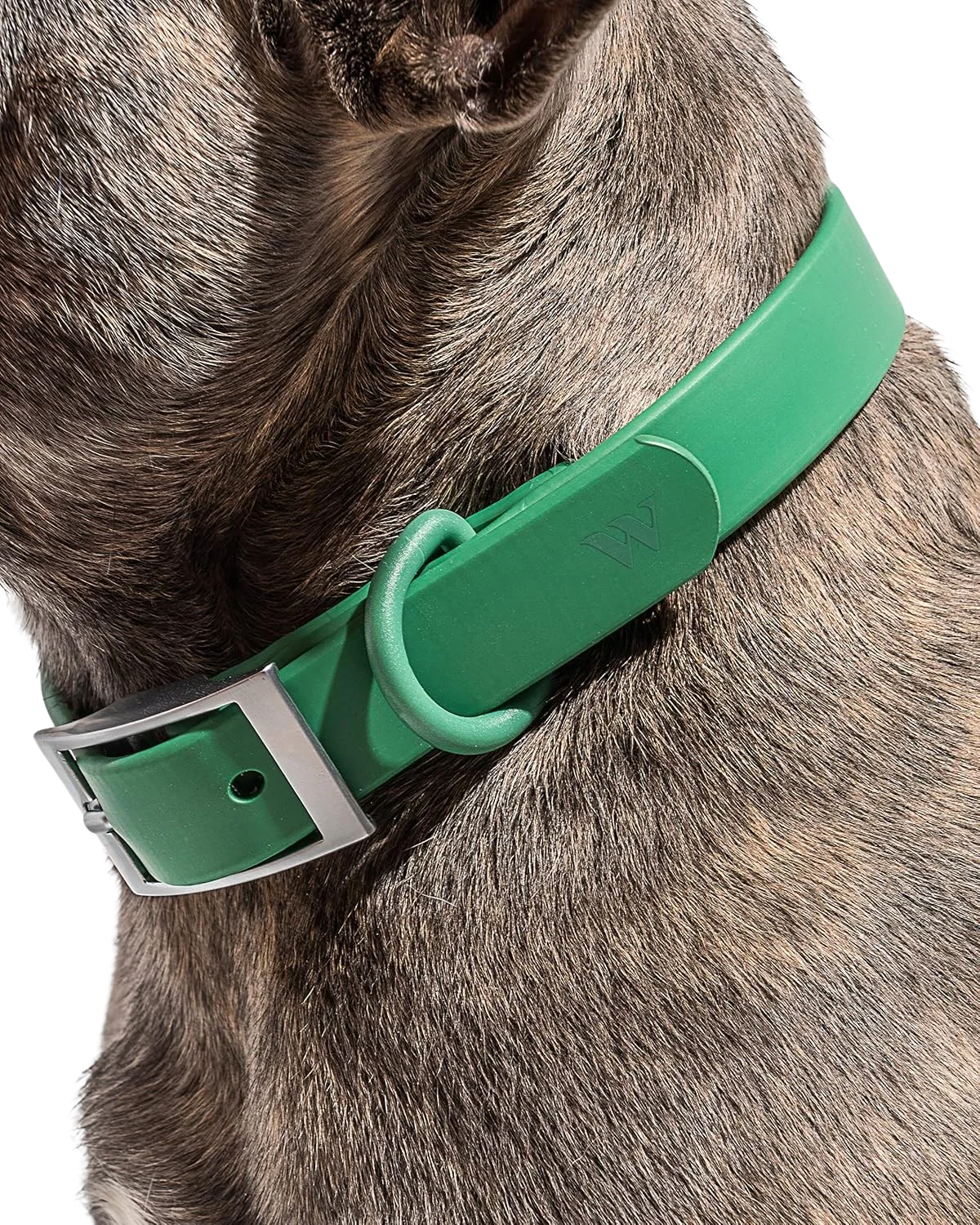 Collar Large - Spruce - Image 2