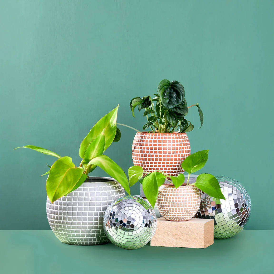 Disco Ceramic Planter - Medium / Terracotta - Image 4