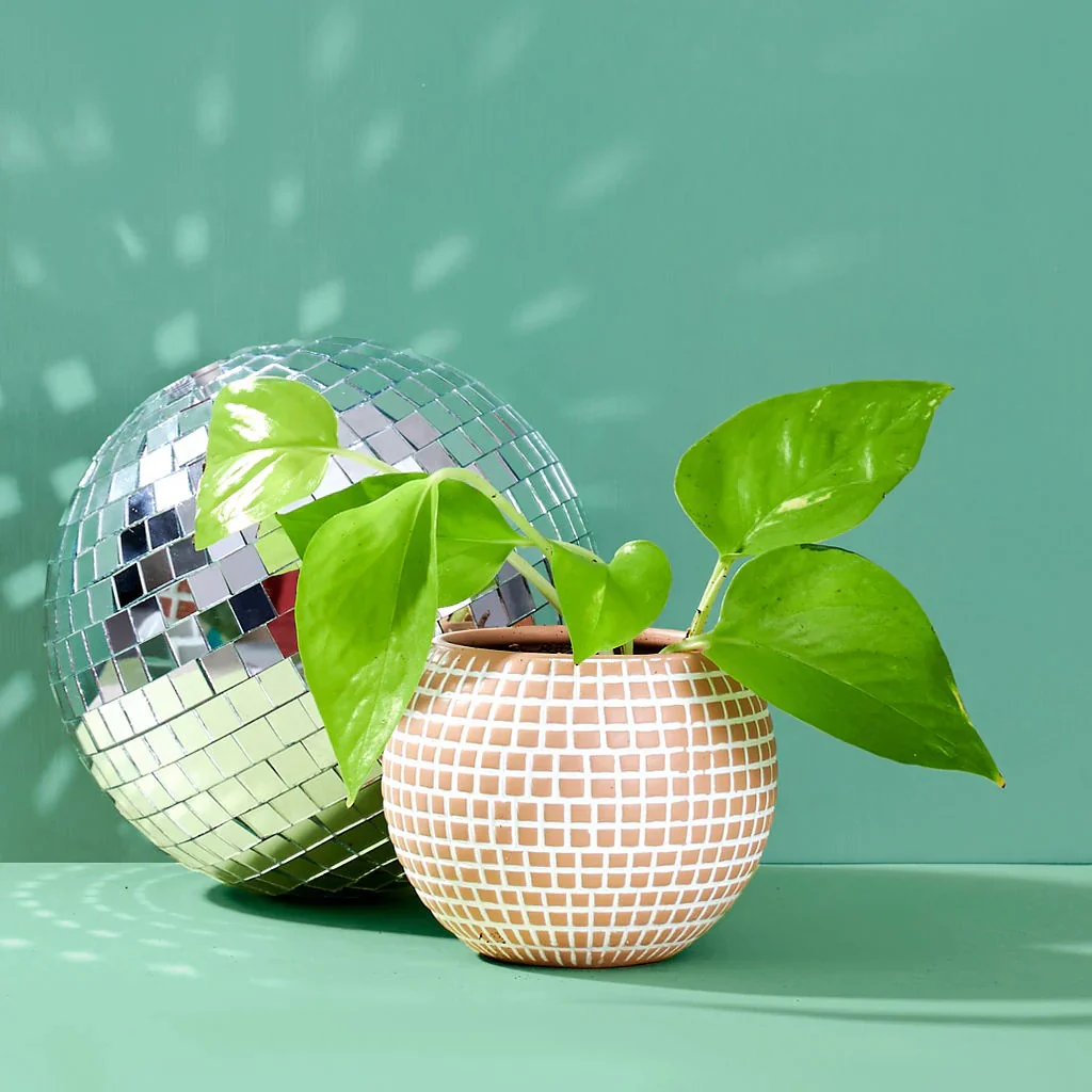 Disco Ceramic Planter - Small / Sand - Image 2