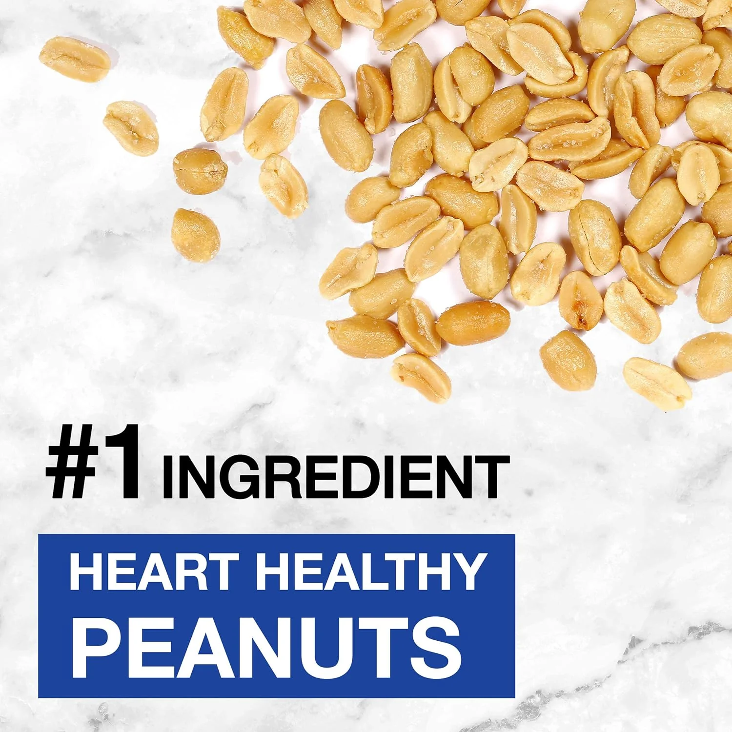 Dark Chocolate Nut Protein Bars (12 CT) - Image 4