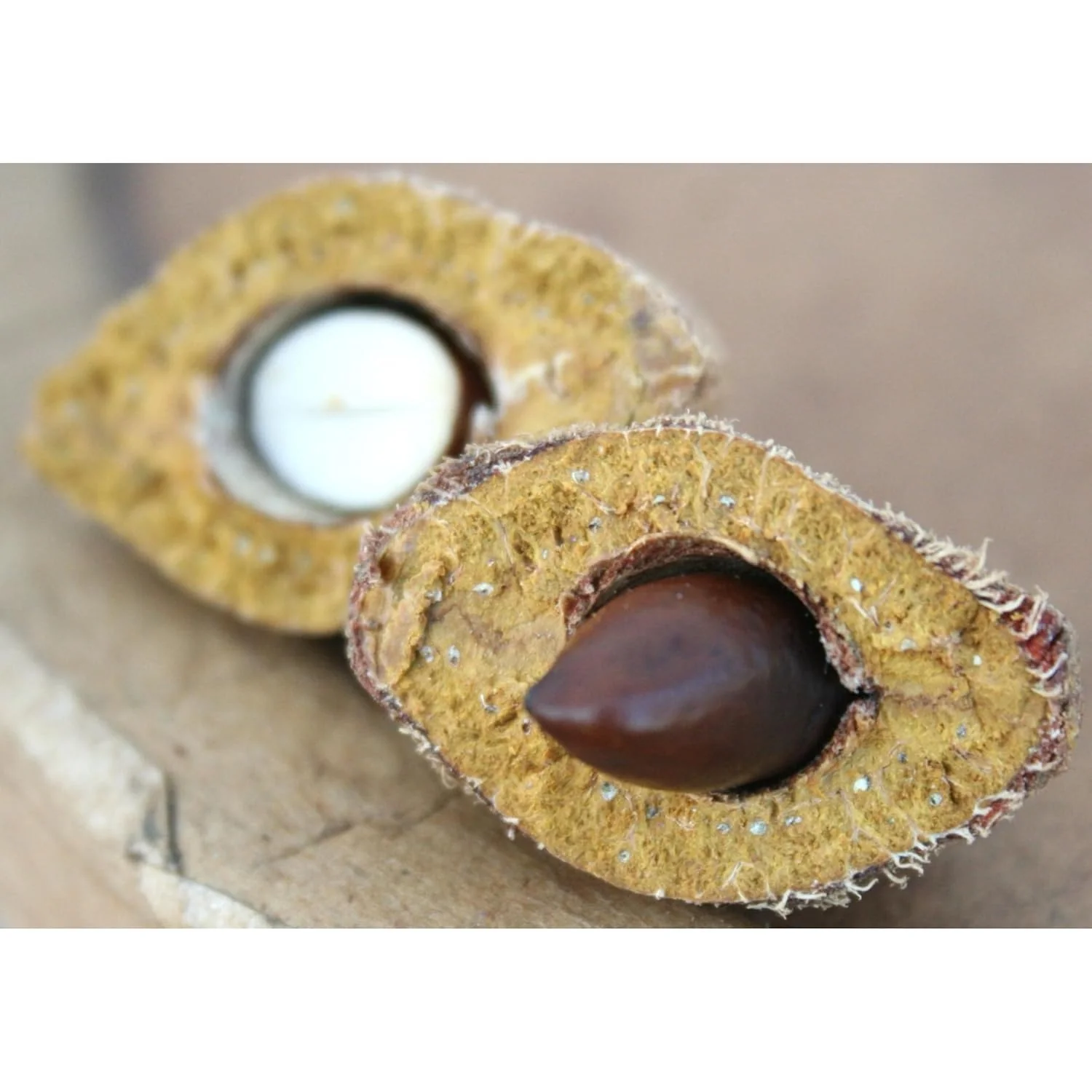Dry Roasted Baru Nuts - Image 4