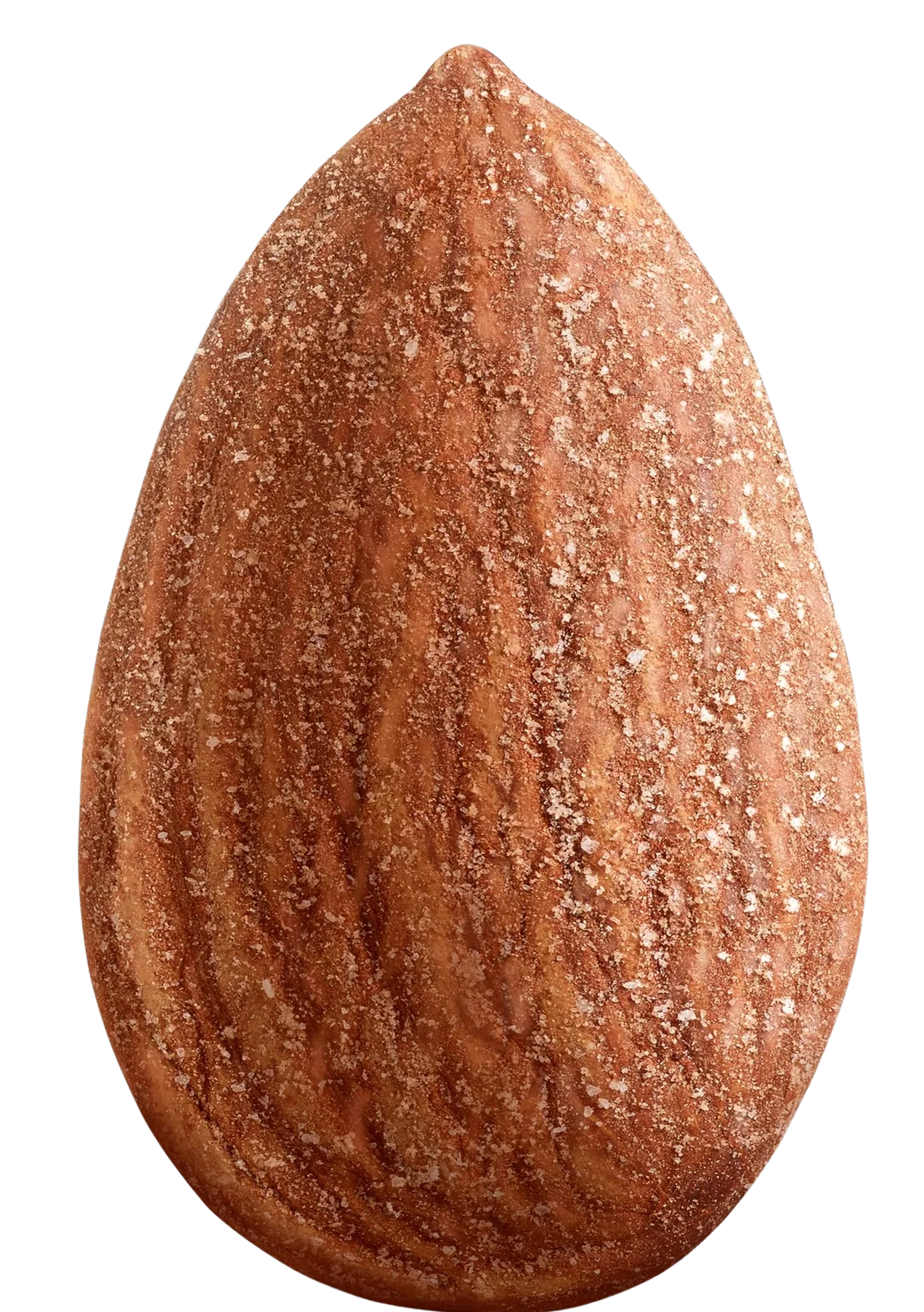 Dry Roasted Sea Salt Almonds - Image 2