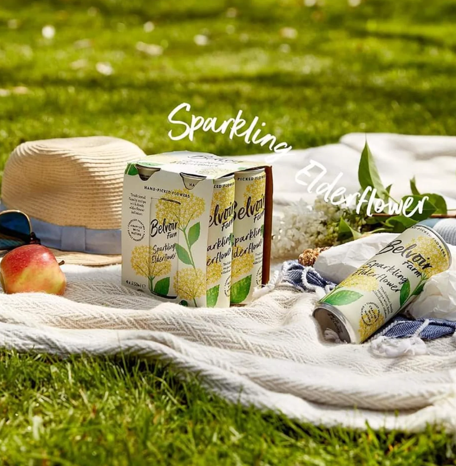 Elderflower (4 Pack) - Image 3