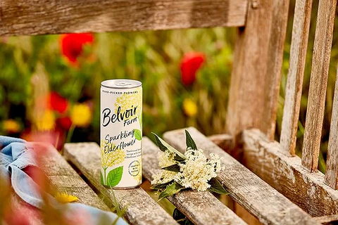 Elderflower (4 Pack) - Image 4