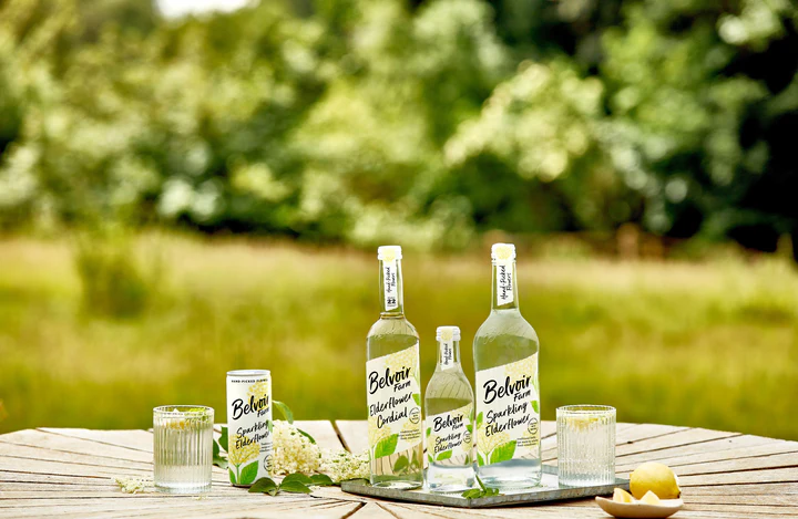 Elderflower (4 Pack) - Image 5
