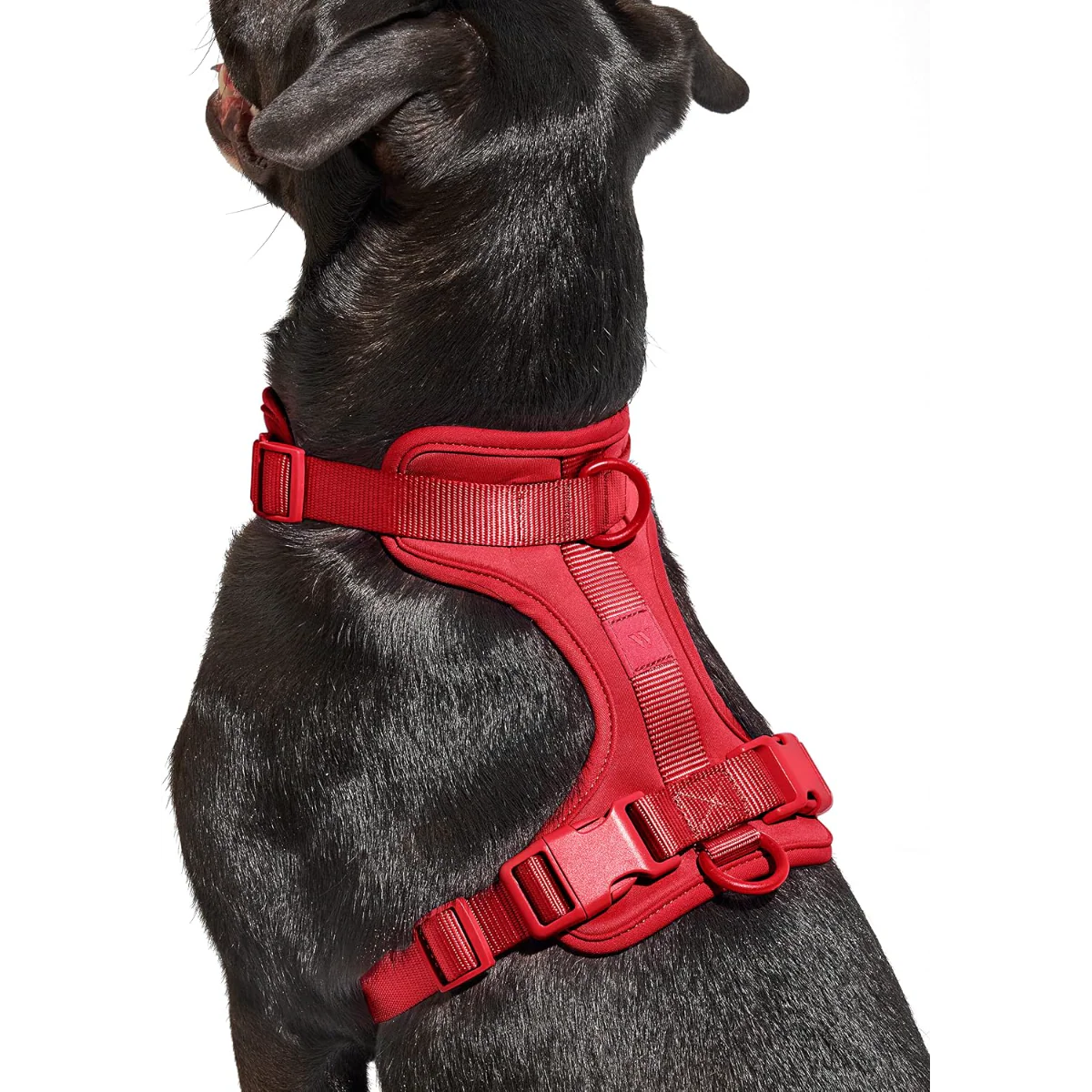 Extra Small Harness - Strawberry - Image 3