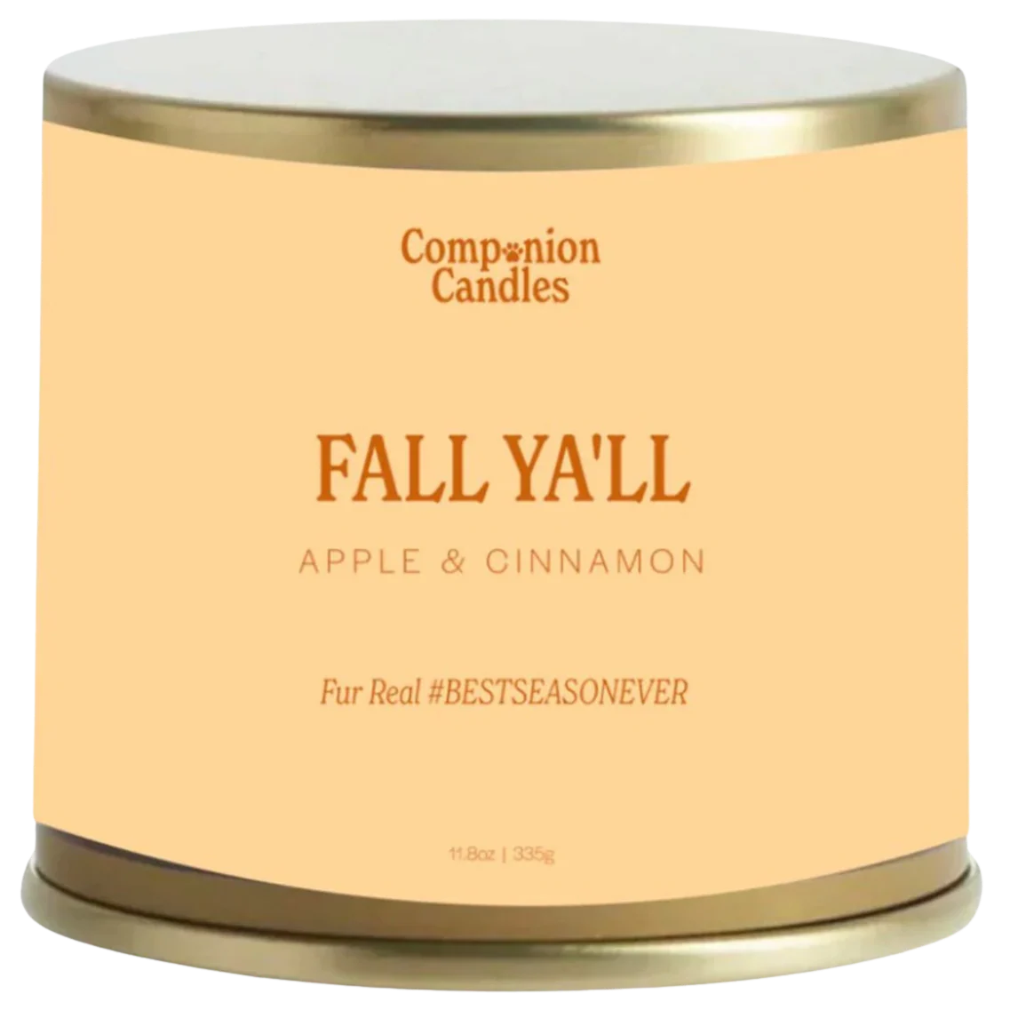Fall Yall Apple and Cinnamon Candle