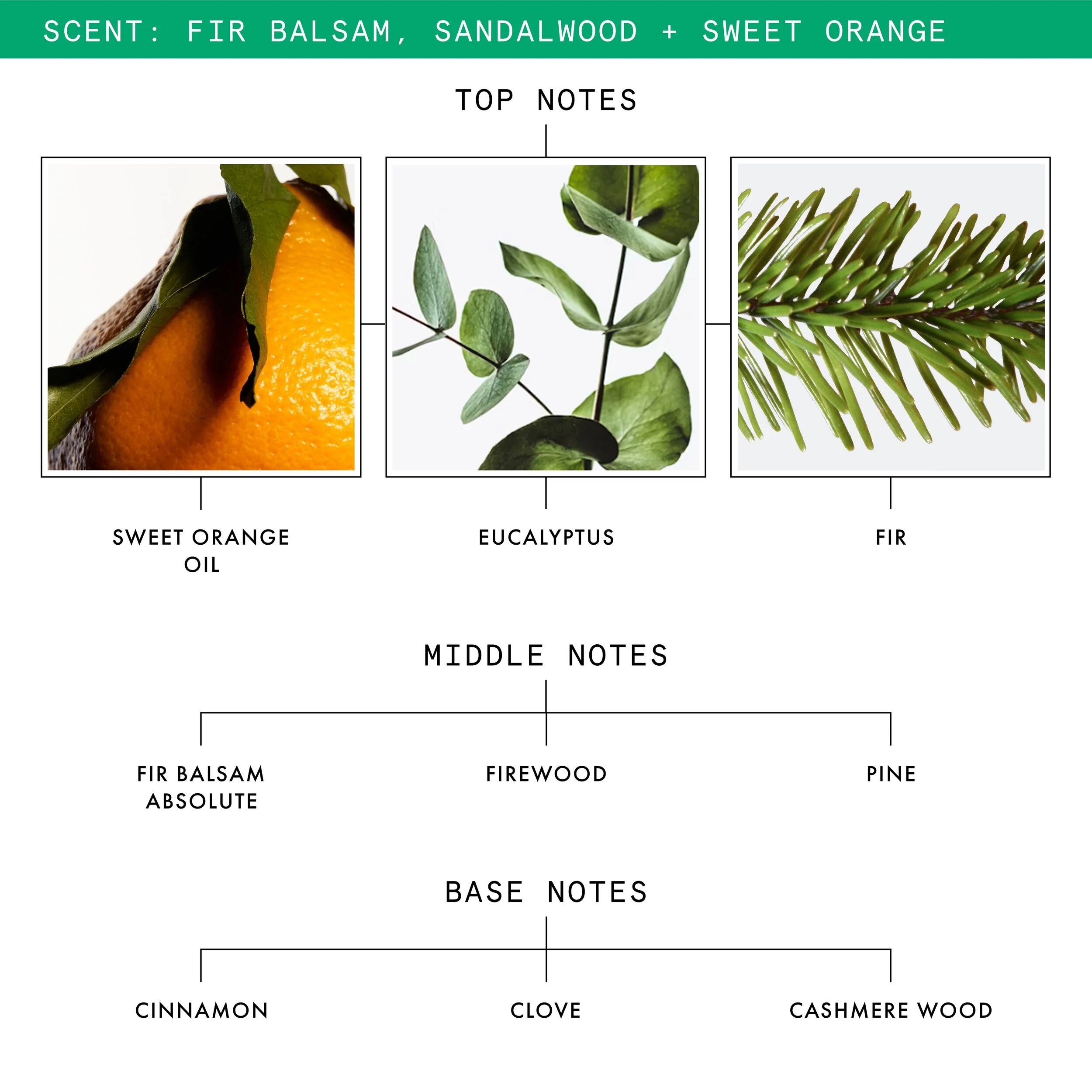 Fir Balsam Sandalwood & Sweet Orange Luxury Scented Candle - Image 3