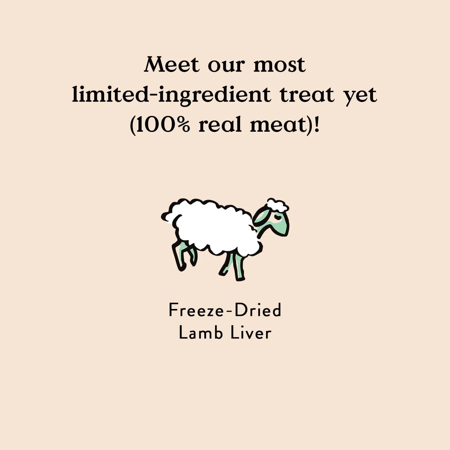 Freeze Dried Lamb Flavor Adult Dog Treat - Image 3