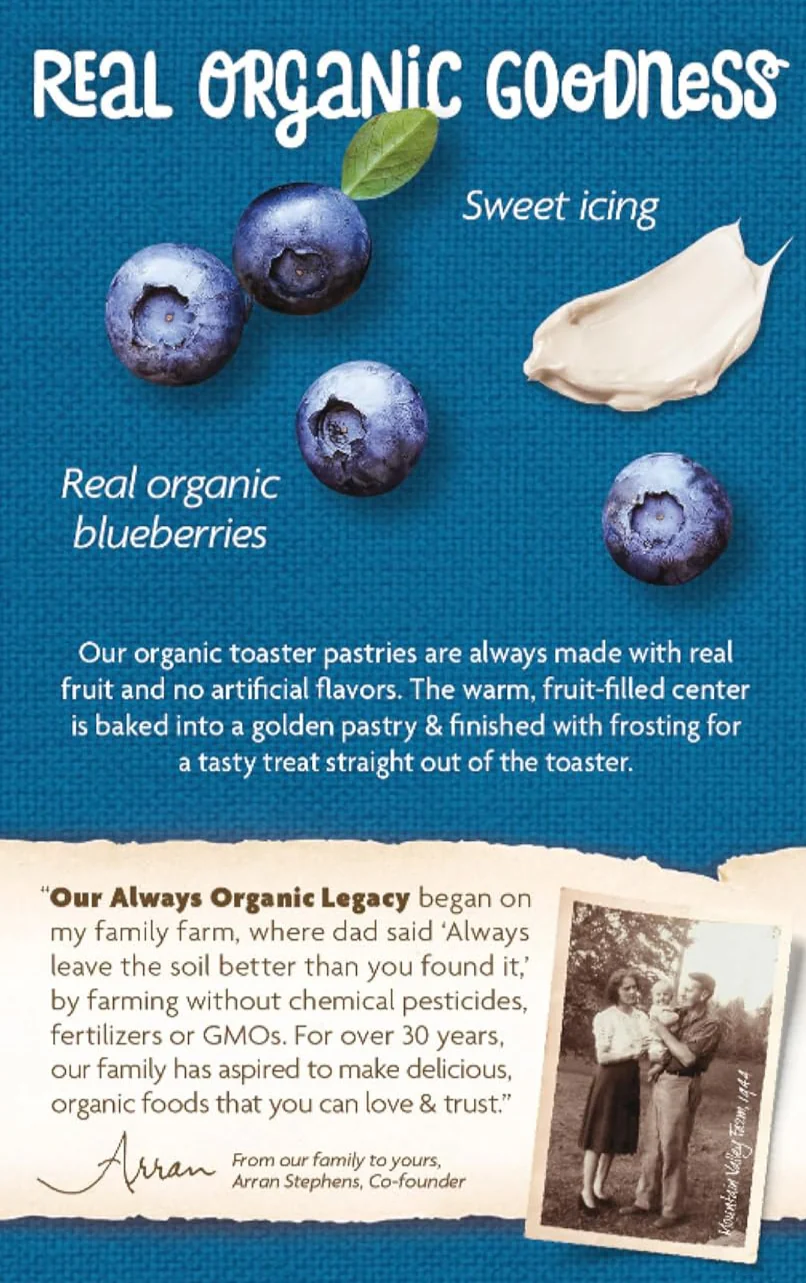 Frosted Buncha Blueberries Toaster Pastries - Image 3