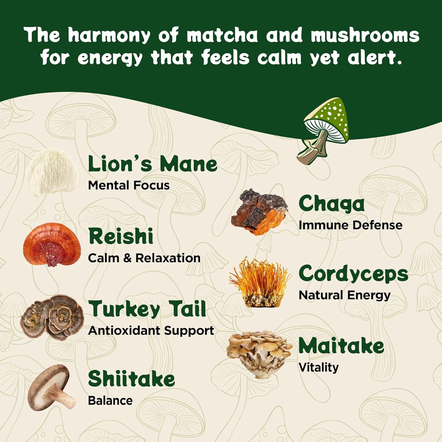 Functional Matcha with 7 Mushrooms, L-Theanine & Ashwagandha - Image 6