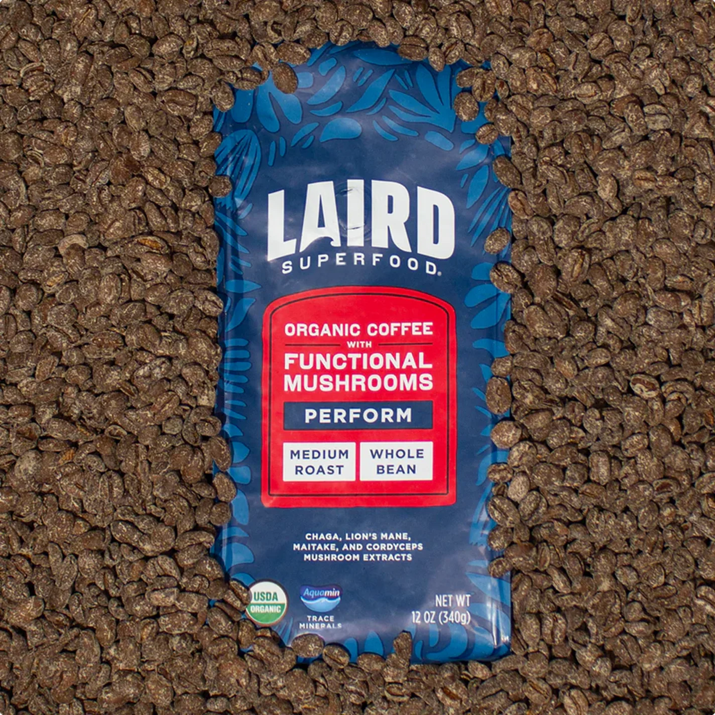 Functional Mushroom Medium Roast Whole Bean Coffee - Image 3