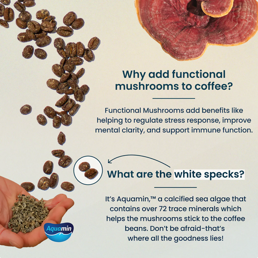 Functional Mushroom Medium Roast Whole Bean Coffee - Image 4