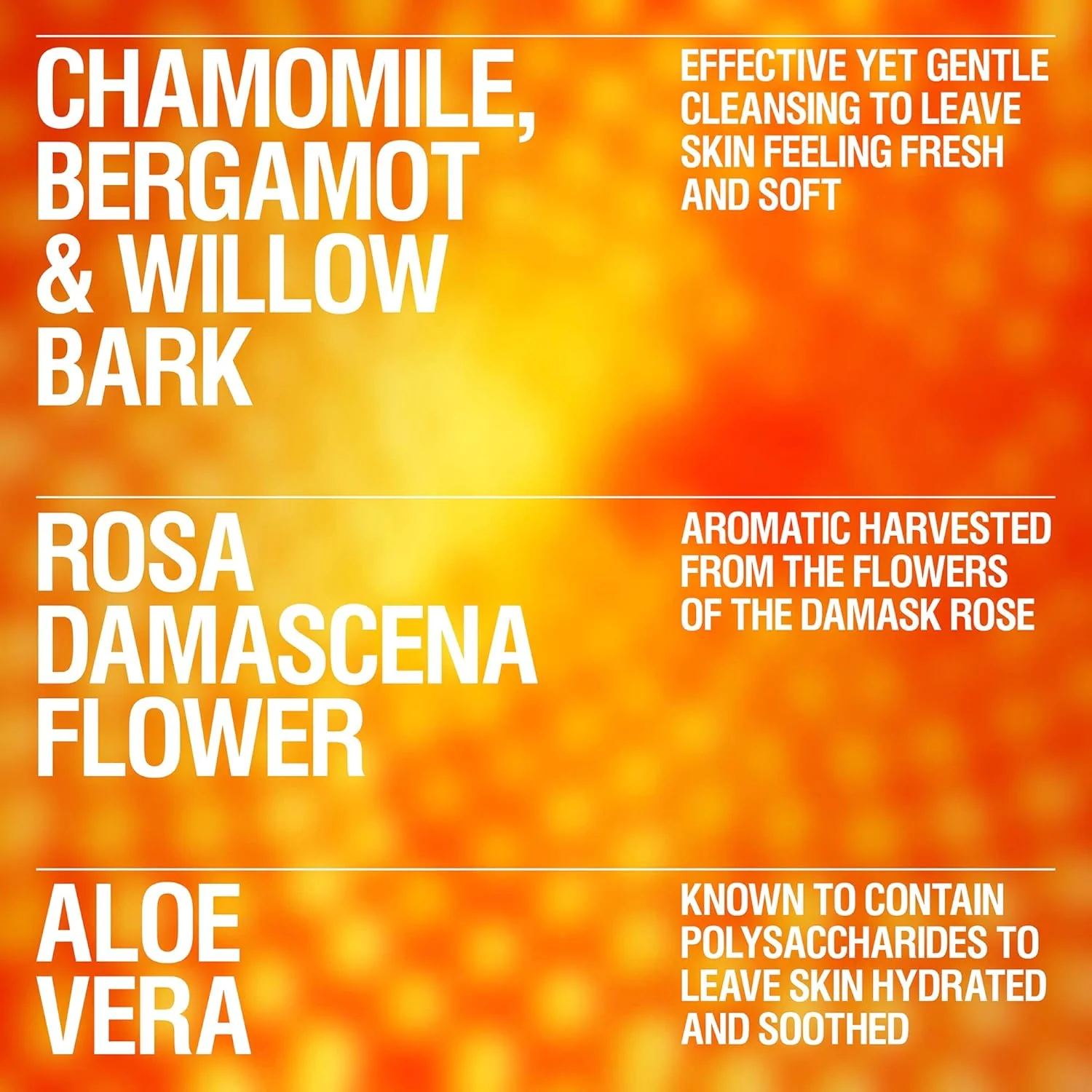 Gentle Gel Facial Cleanser - Image 2